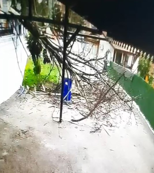 Firtina Agaci Kokunden Kopardi Kaldirimdaki Vatandas Olumden Kil Payi Kurtuldu (2)