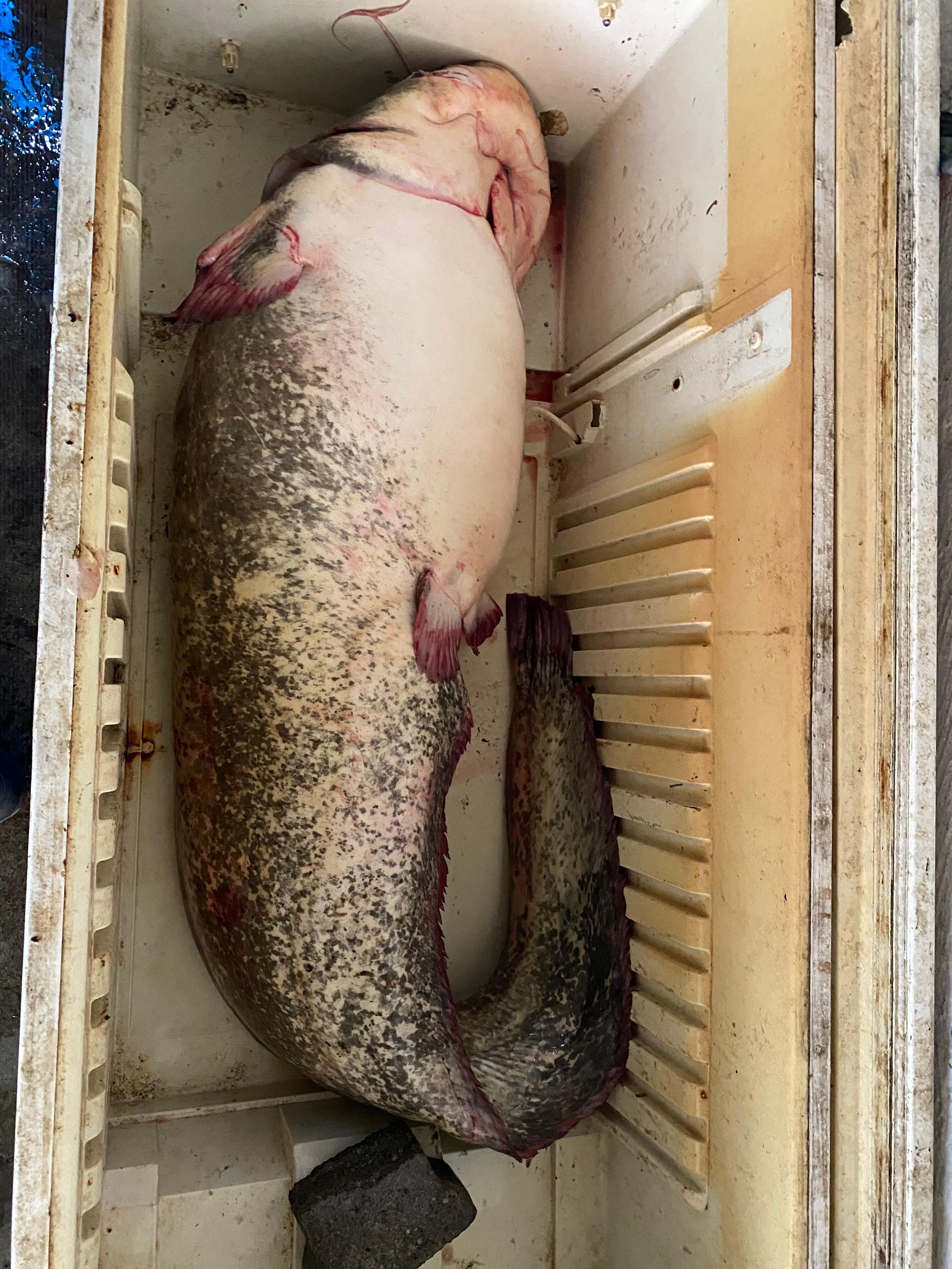 Gece Ag Attilar Sabah Sudan Cikan Dev Saskina Cevirdi (2)