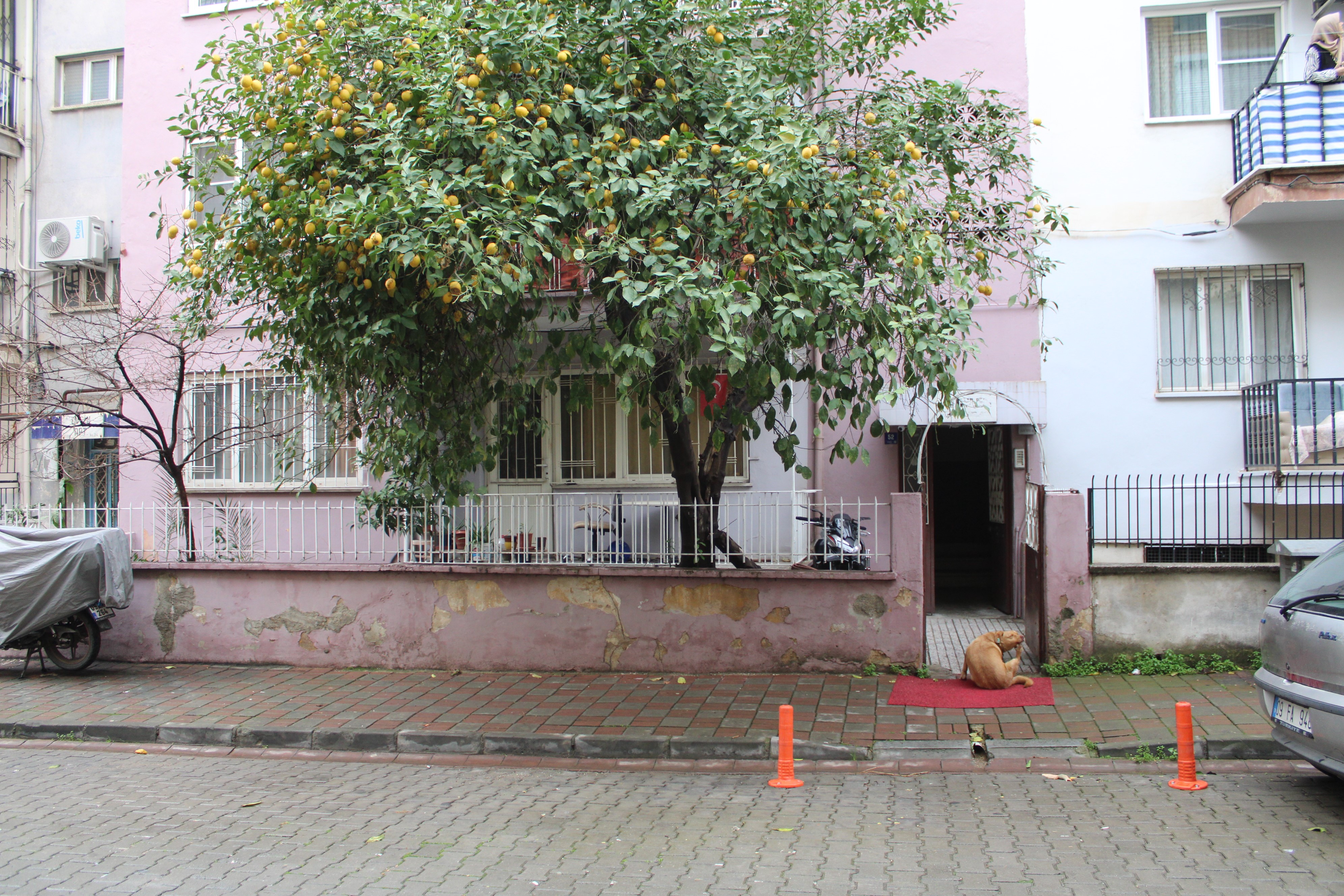 Kahveye Gidiyorum Demisti Yalniz Yasayan Adamdan Aci Haber (3)