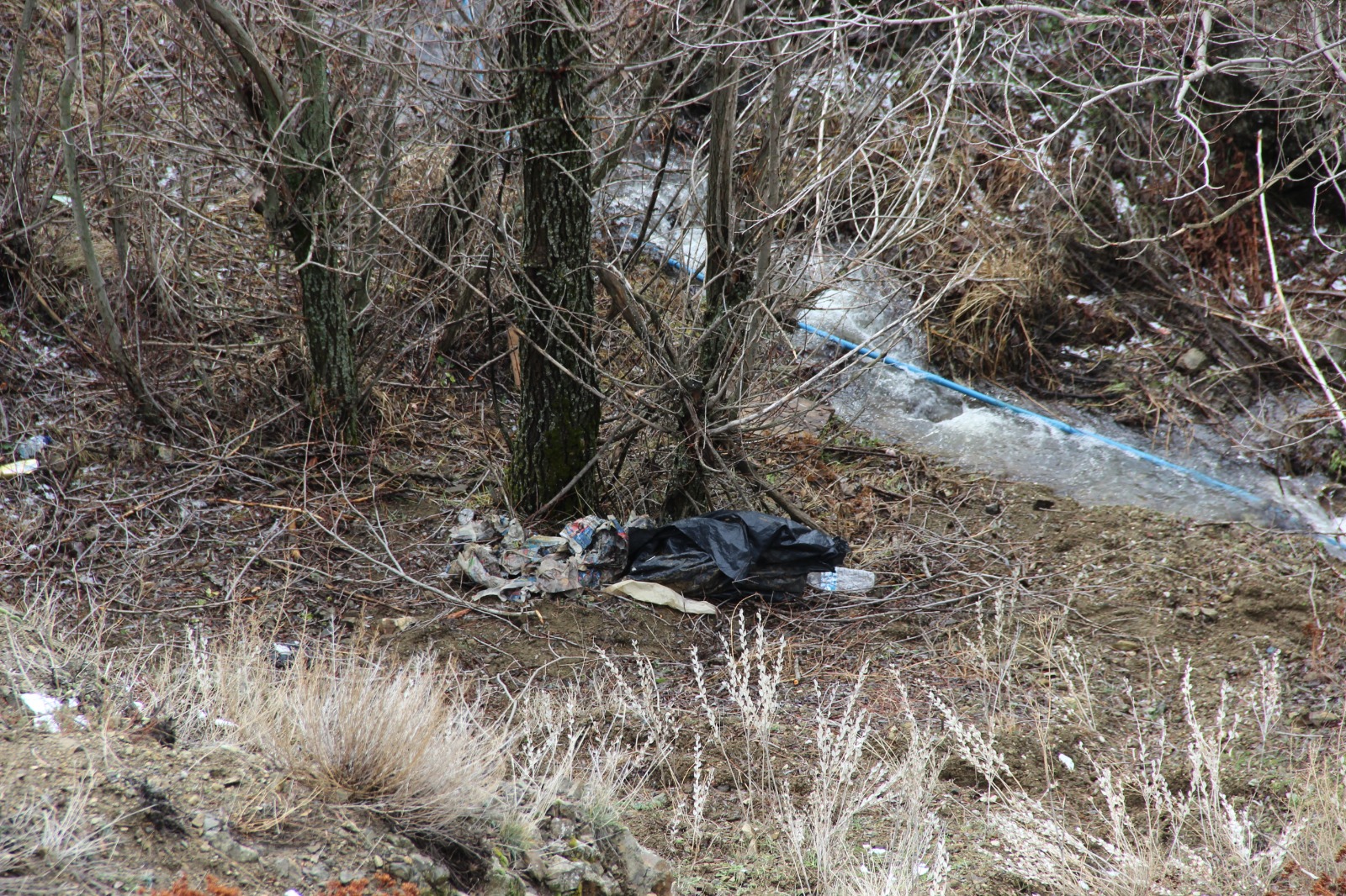 Kan Donduran Cinayet Ceset Çöp Poşetlerinde Bulundu (3)-1