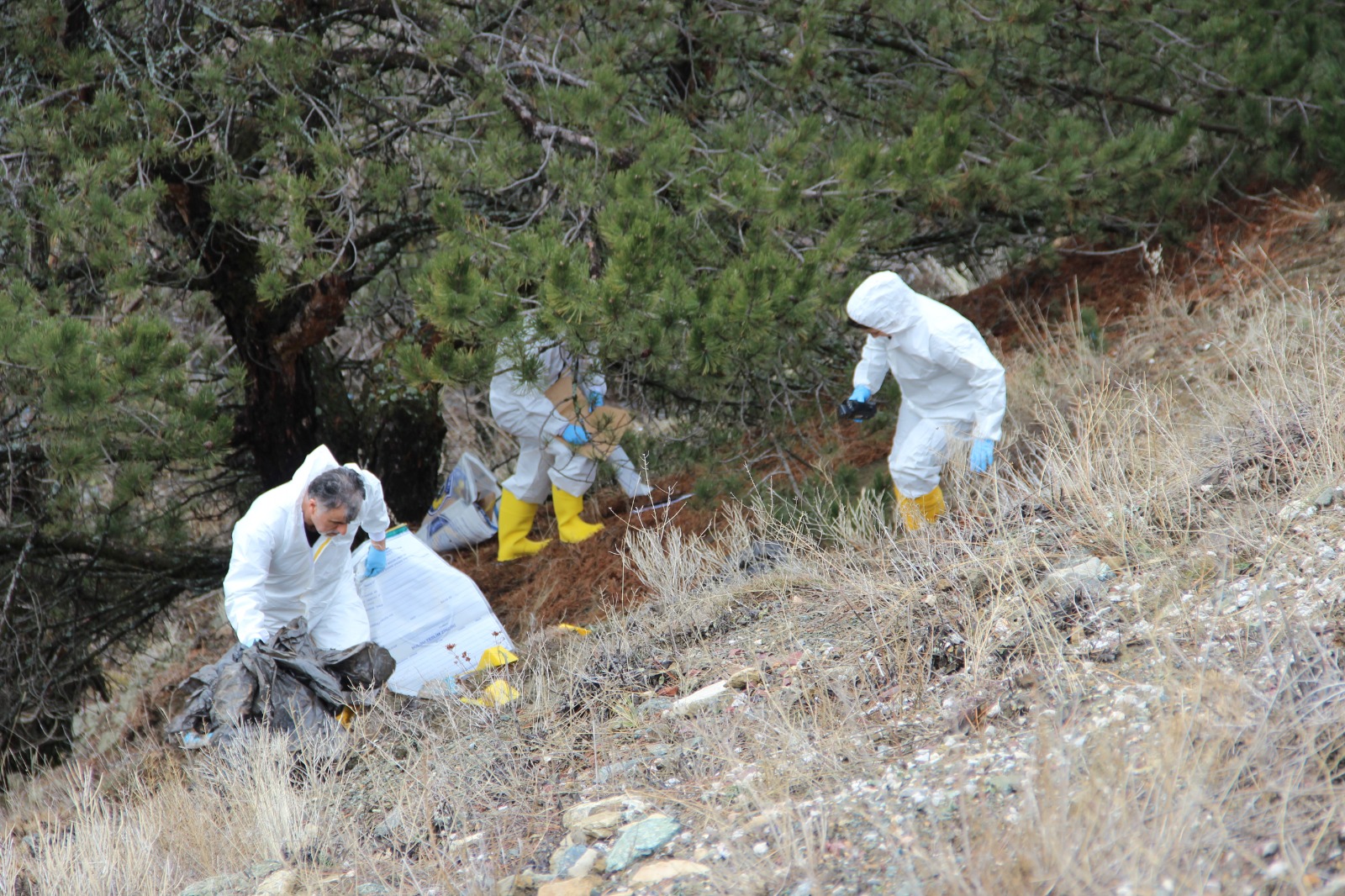 Kan Donduran Cinayet Ceset Çöp Poşetlerinde Bulundu (4)