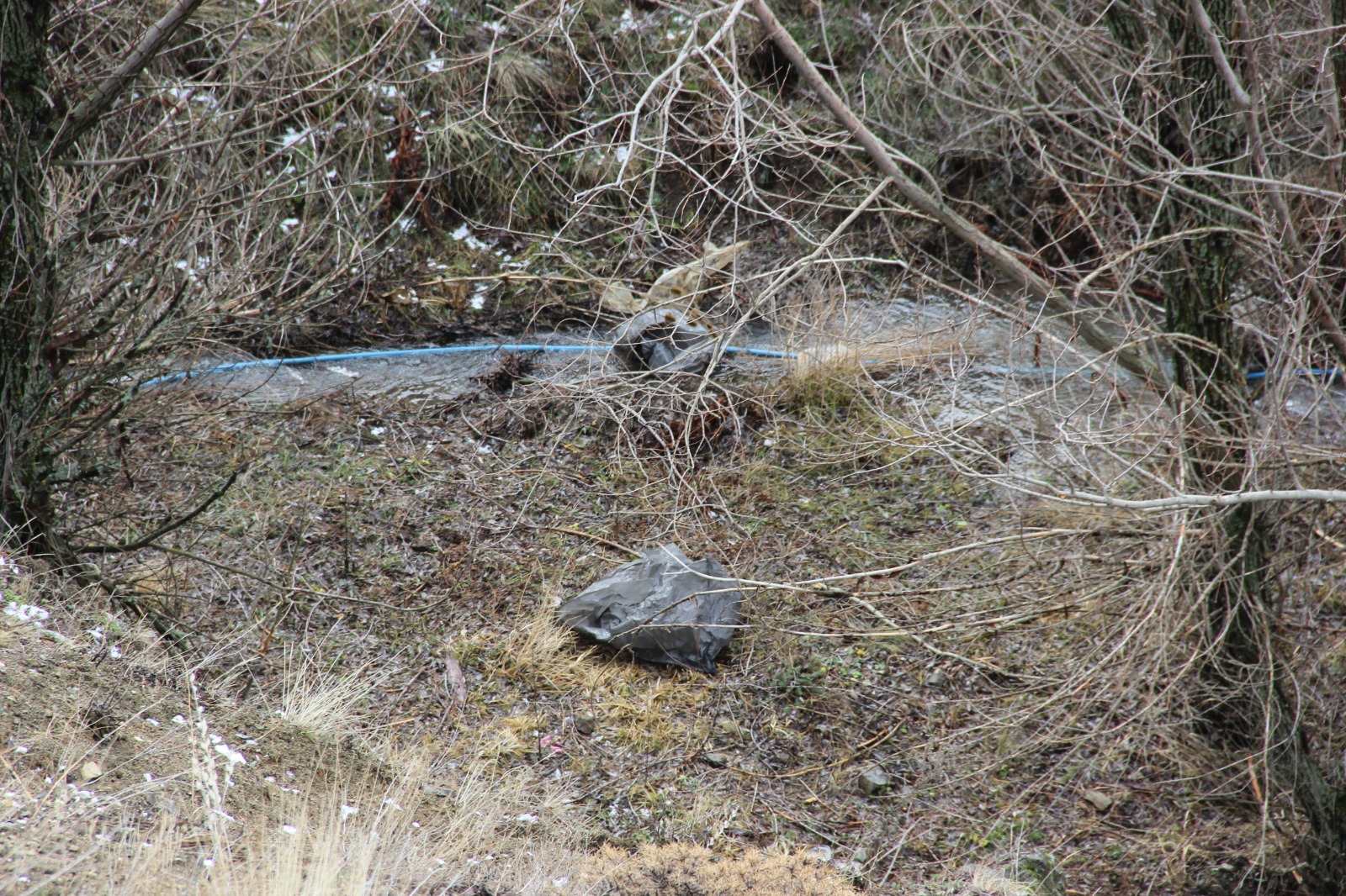 Kan Donduran Cinayet Ceset Çöp Poşetlerinde Bulundu (6)