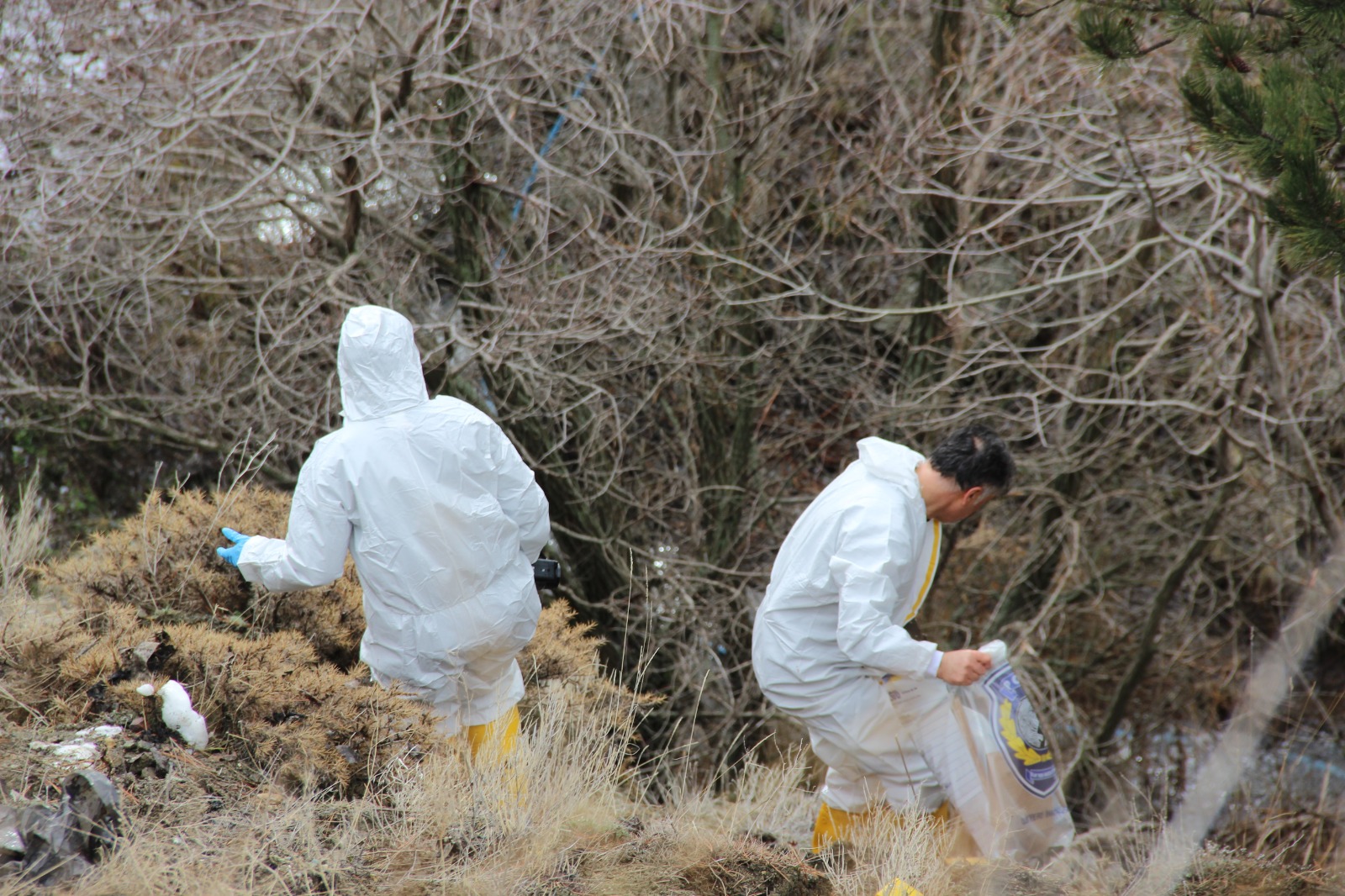 Kan Donduran Cinayet Ceset Çöp Poşetlerinde Bulundu (7)-1