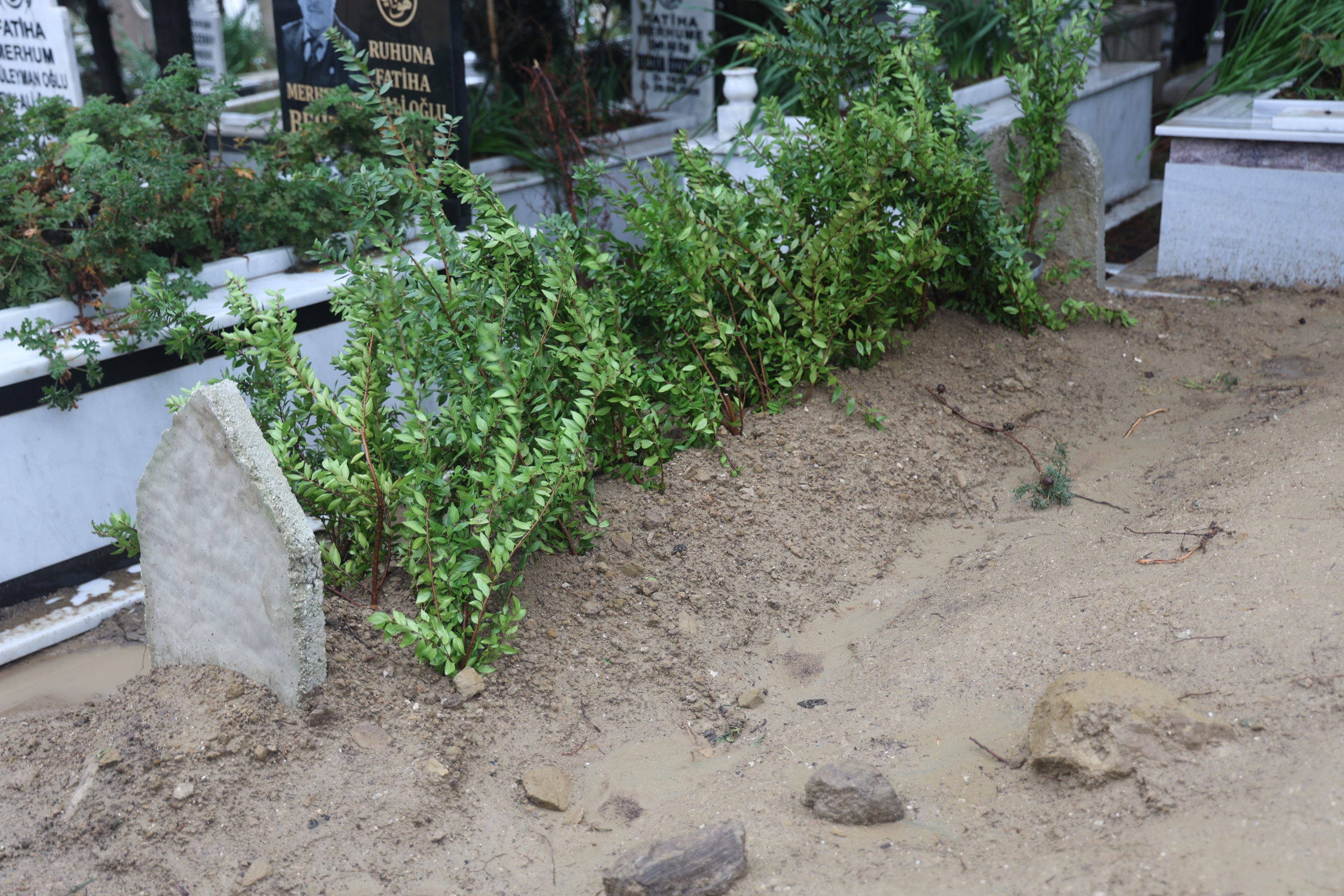 Kan Donduran Cinayet Eski Başkan, Oğlu Tarafından Katledildi (6)