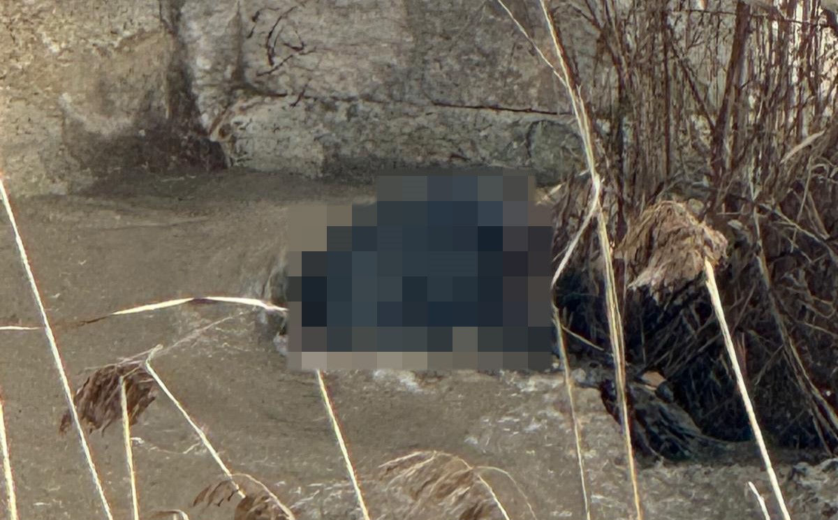 Köprünün Altında Korkutan Manzara Kimliği Belirsiz Ceset Bulundu (3)