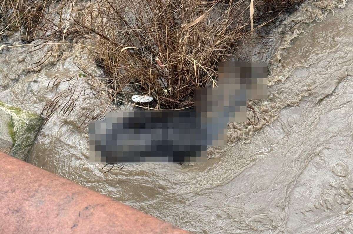 Köprünün Altında Korkutan Manzara Kimliği Belirsiz Ceset Bulundu (5)