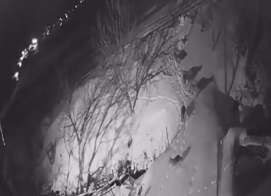 Koyde Uykulari Kaciran Goruntu Evlerin Dibine Kadar Geldiler (3)