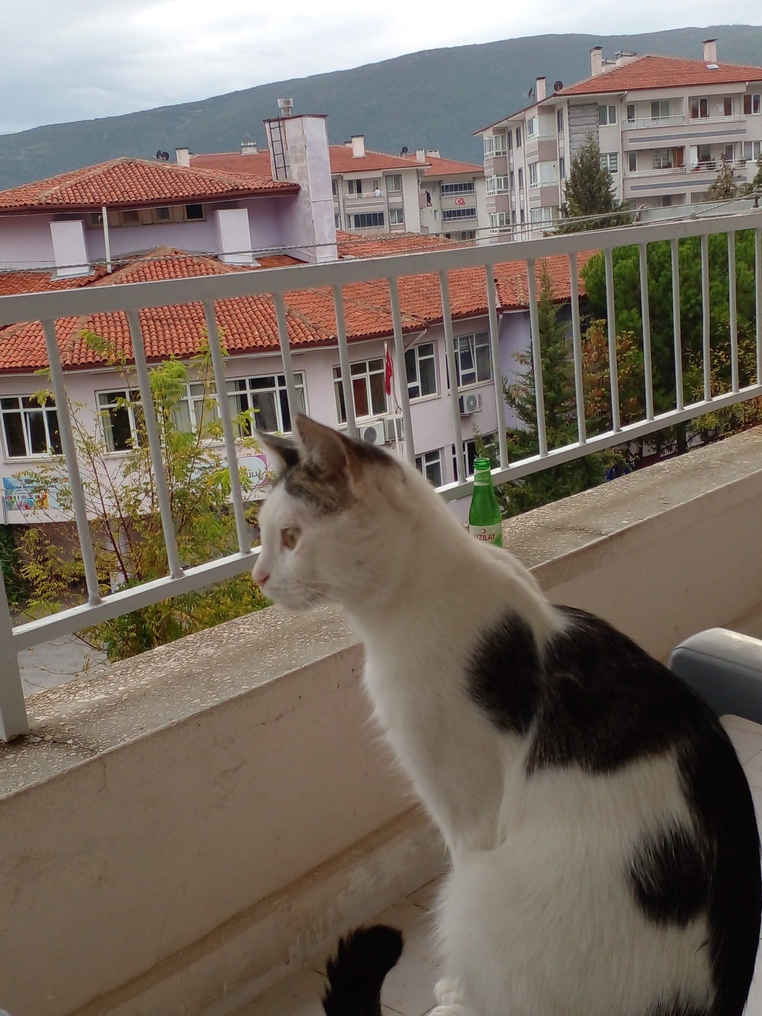 Kurban Bayramında Kayboldu, Arayış Sürüyor Hasan Kaya 7 Yıllık Dostunu Arıyor (3)