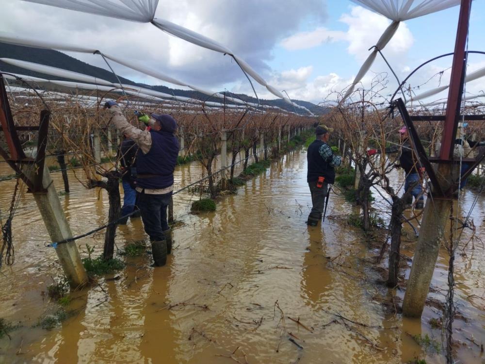 Manisa Bağlar Göl (2)