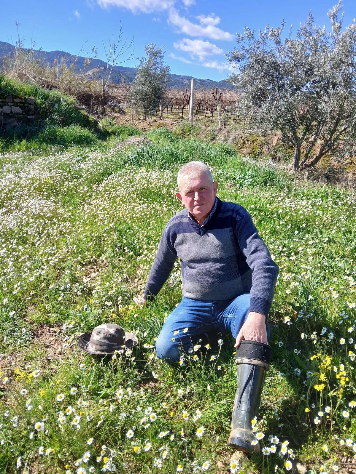 Manisa Beyaza Burundu Subat Ayinda Sasirtan Goruntuler (2)