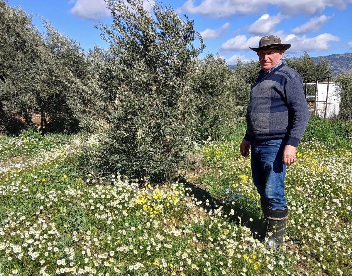 Manisa Beyaza Burundu Subat Ayinda Sasirtan Goruntuler (3)