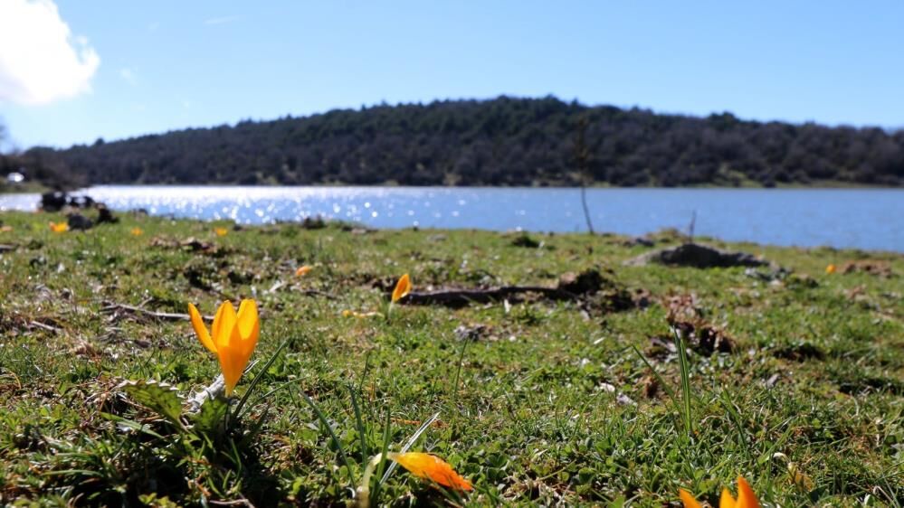 Manisa Tepe Göl (2)