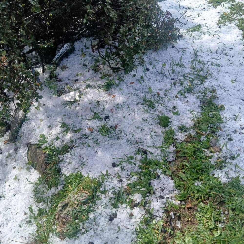 Manisa Yağışlar (3)