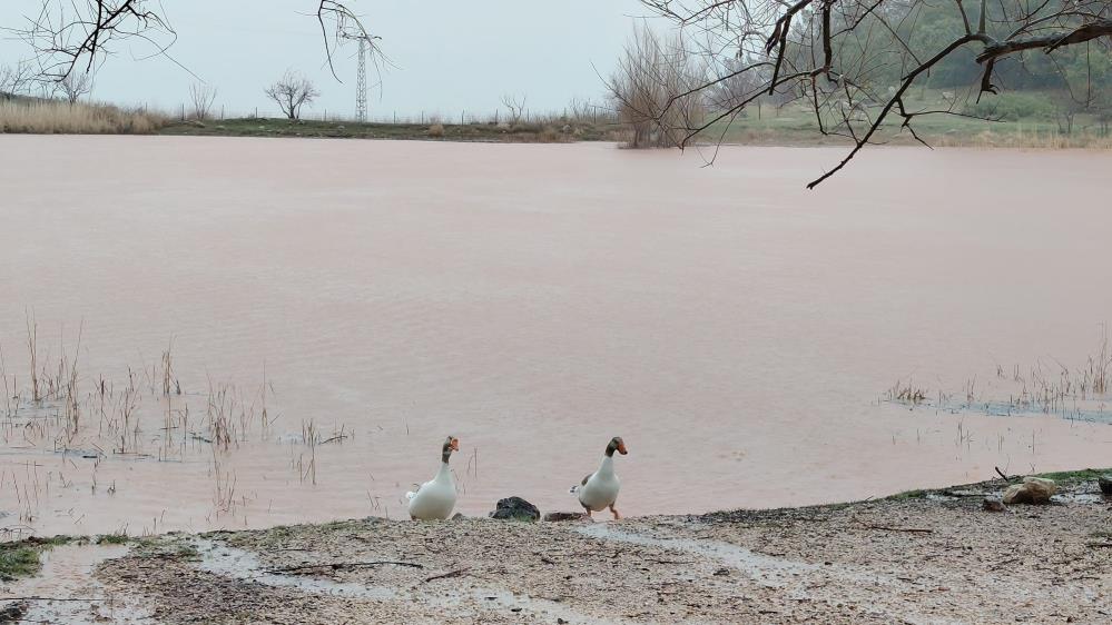 Manisada Yagmur Bereketi Suluklu Gol Ve Gizemli Selale Yeniden Ortaya Cikti (2)