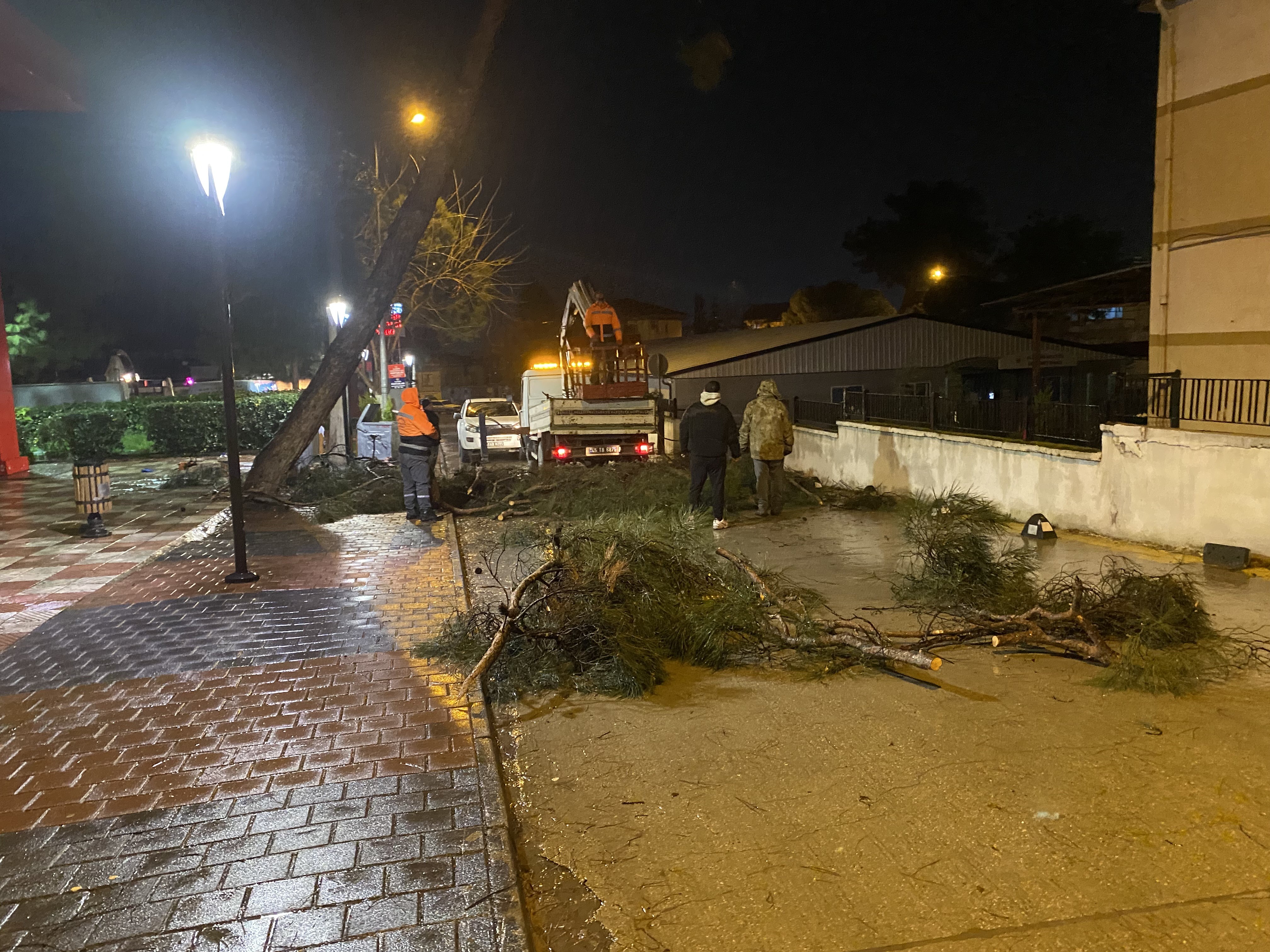 Manisa'nın Alaşehir Ilçesinde Şiddetli Rüzgarın Yan Devirdiği Ağaç Caddeyi Ulaşıma Kapatırken, Belediye Ekipleri Iki Saatlik Çalışmayla Yolu Yeniden Açtı (2)
