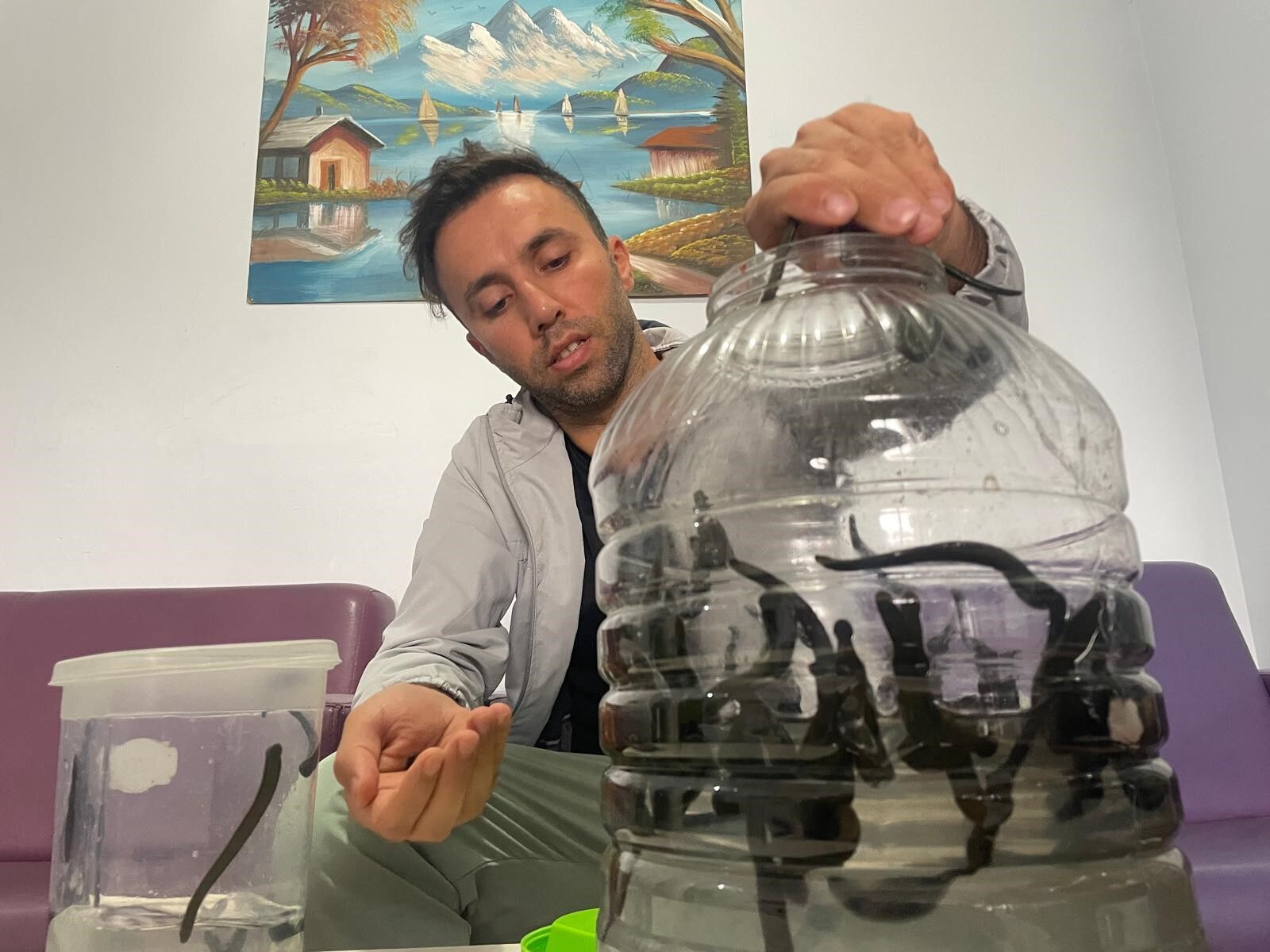 Mezbaha Kaniyla Besleniyorlar Kadinlar Cilt Guzelligi Icin Yoneldi (3)