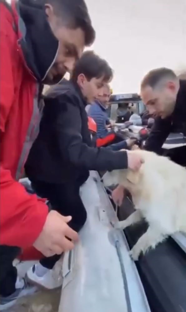 Mugla Mentesede Nefes Kesen Kurtarma Dere Yataginda Mahsur Kalan 5 Kisi Ve Kopek Son A (3)