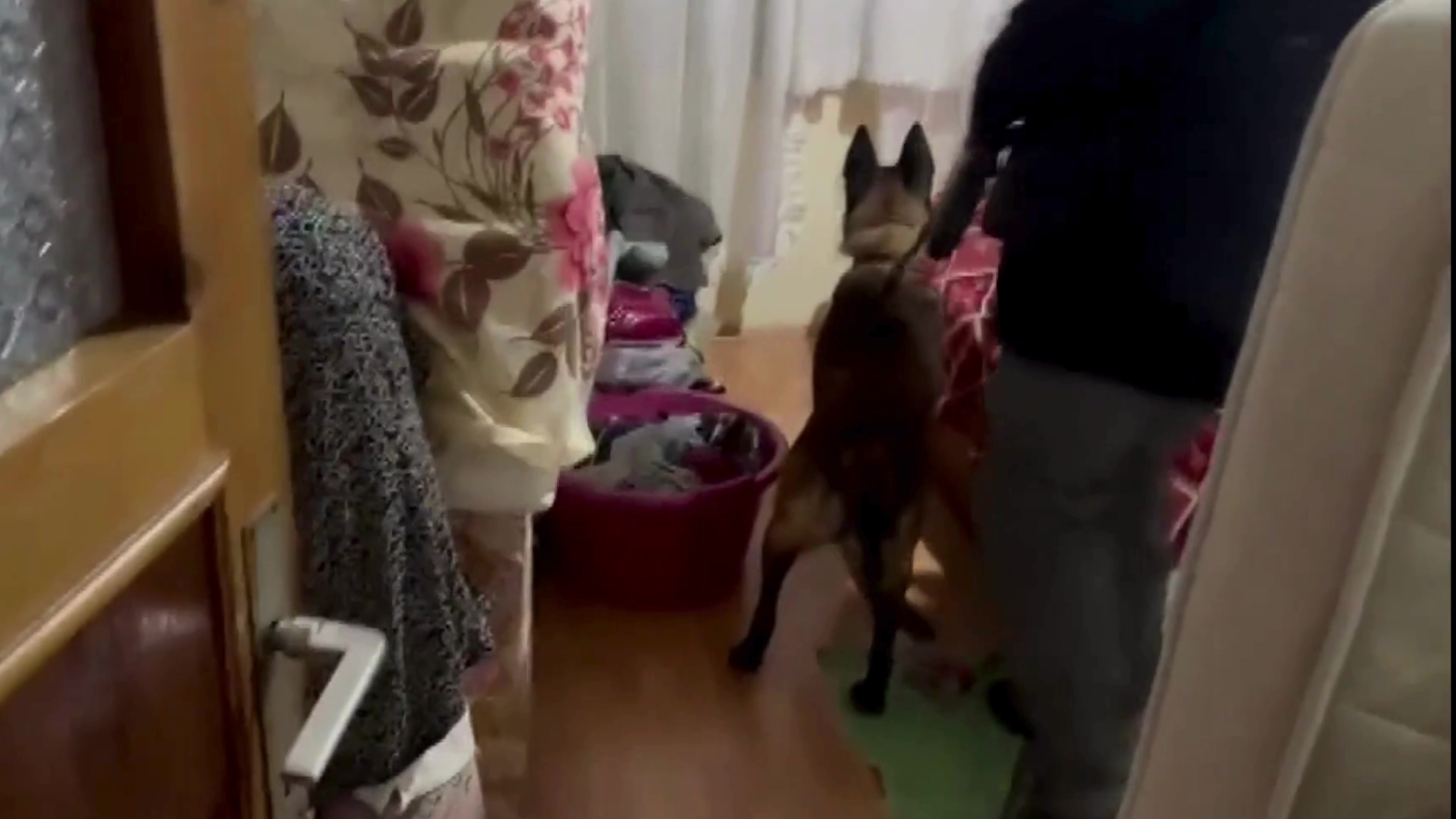 Narkotik Ekiplerinden Buyuk Operasyon 11 Sahis Tutuklandi (4)