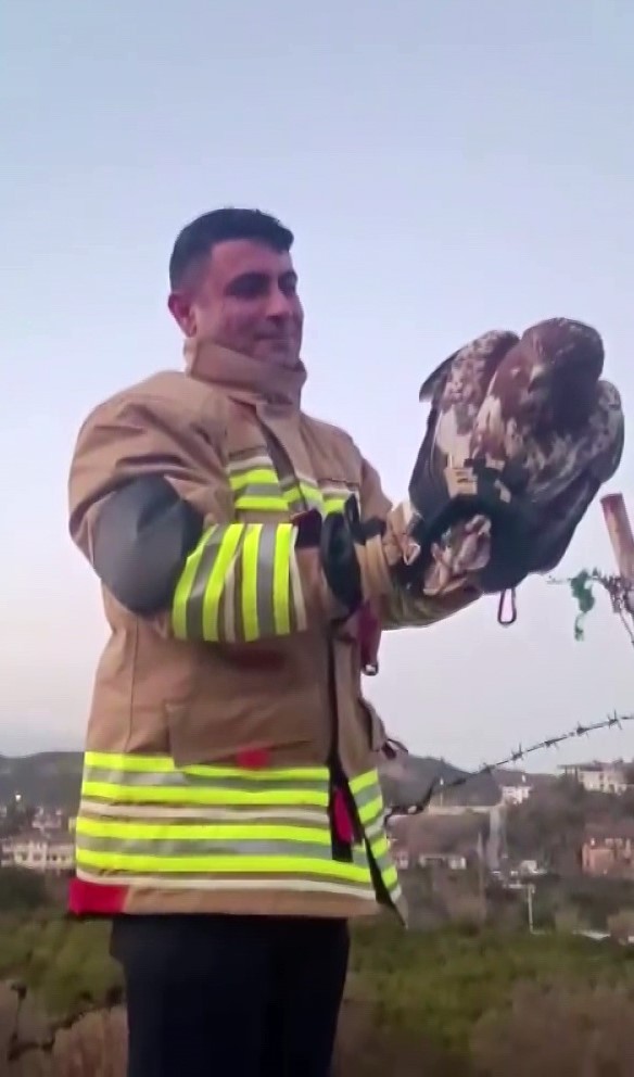 Olumu Bekliyordu Dikenli Tellere Takilan Sahinin Yardimina Ekipler Kostu (2)