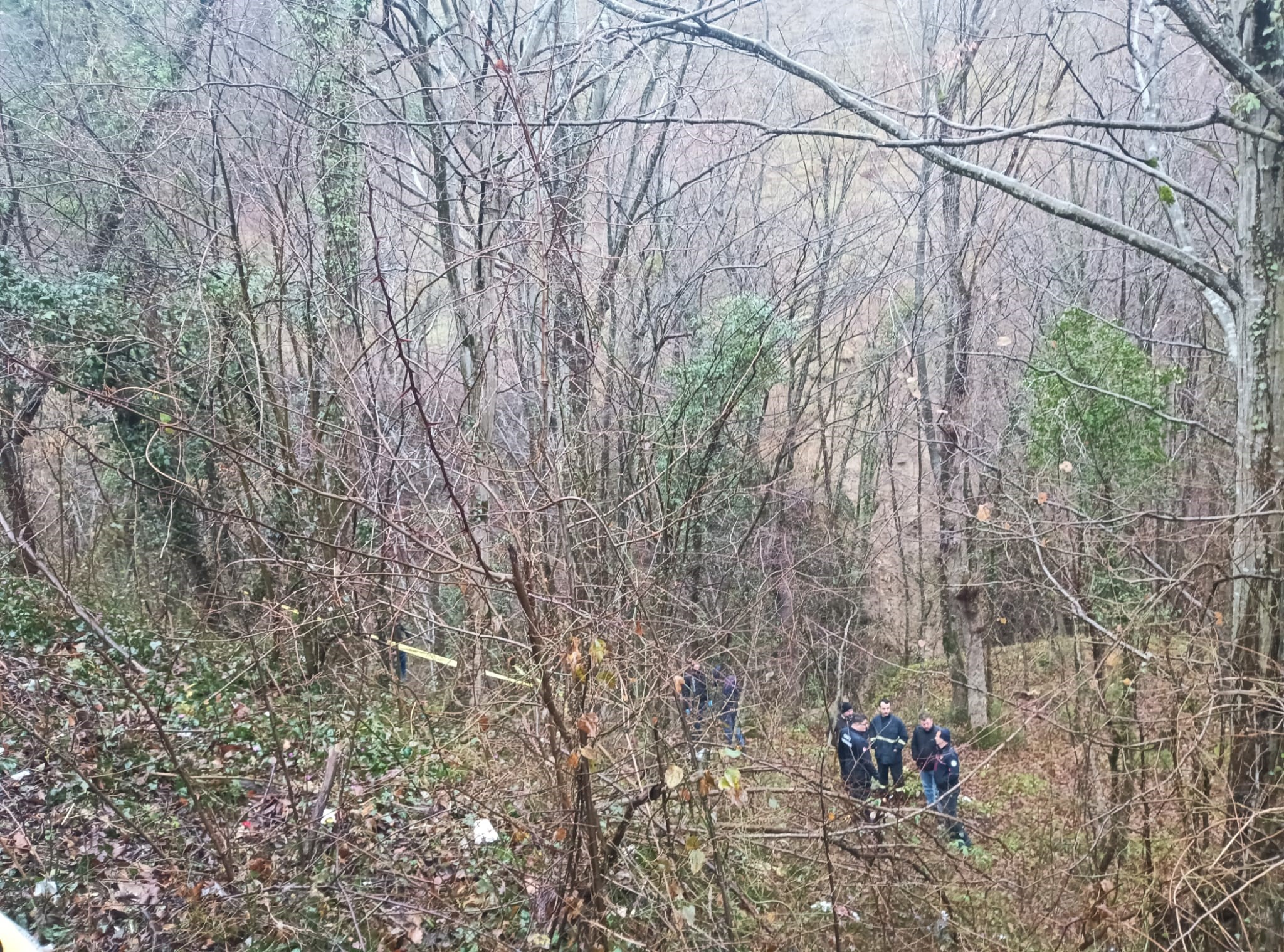 Ormanlık Alanda Korkunç Manzara! Ağaçta Asılı Halde Ölü Bulundu (3)