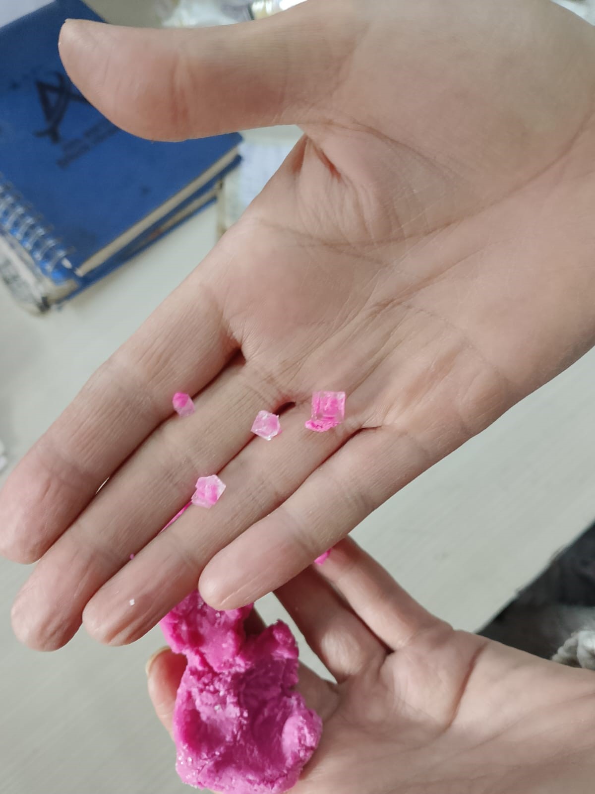 Oyun Hamuru Degil Tuzak Teyze Bak Icinde Ne Var (3)