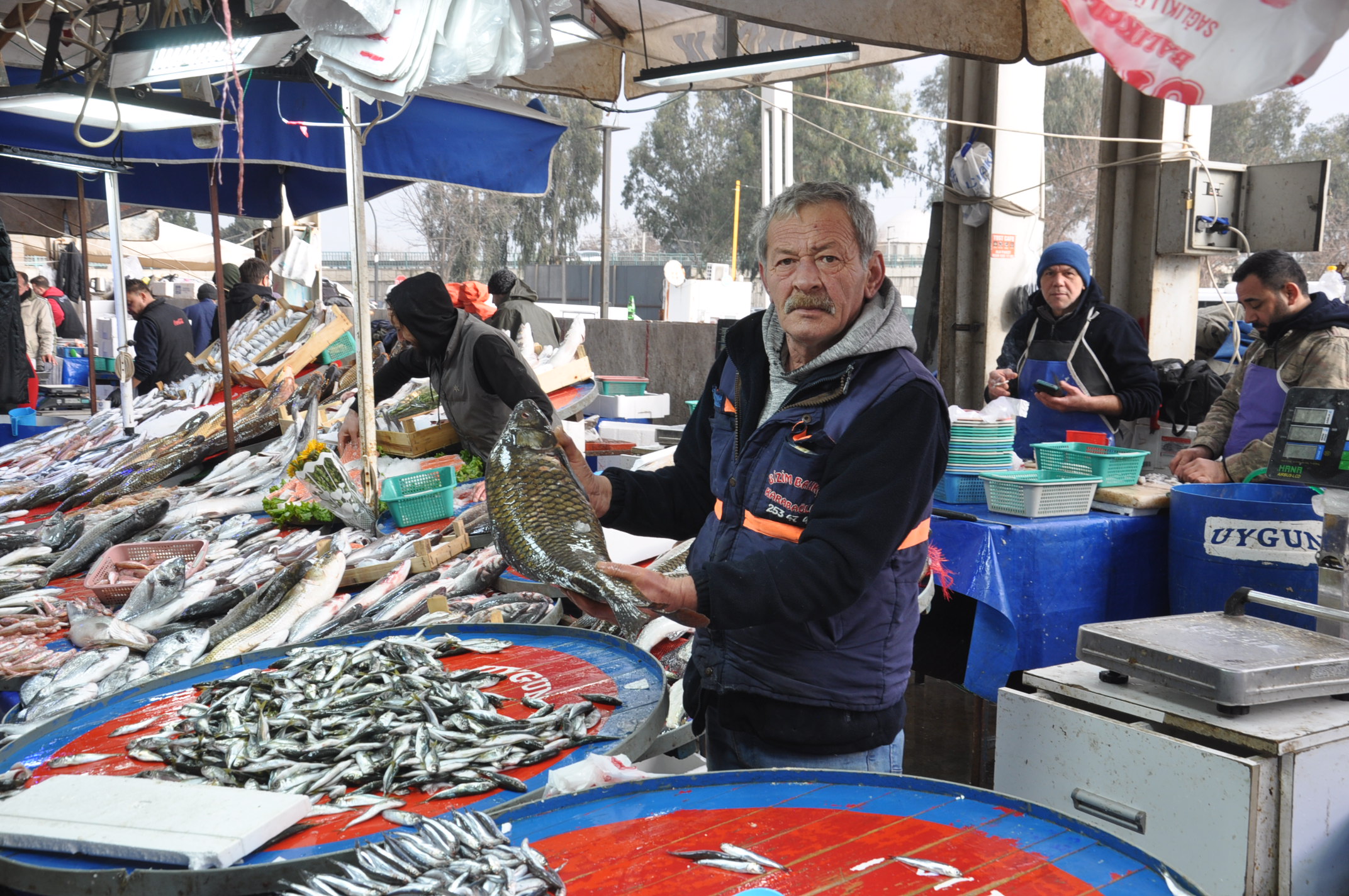 Pazar Balık Fiyatları Salihli (12)