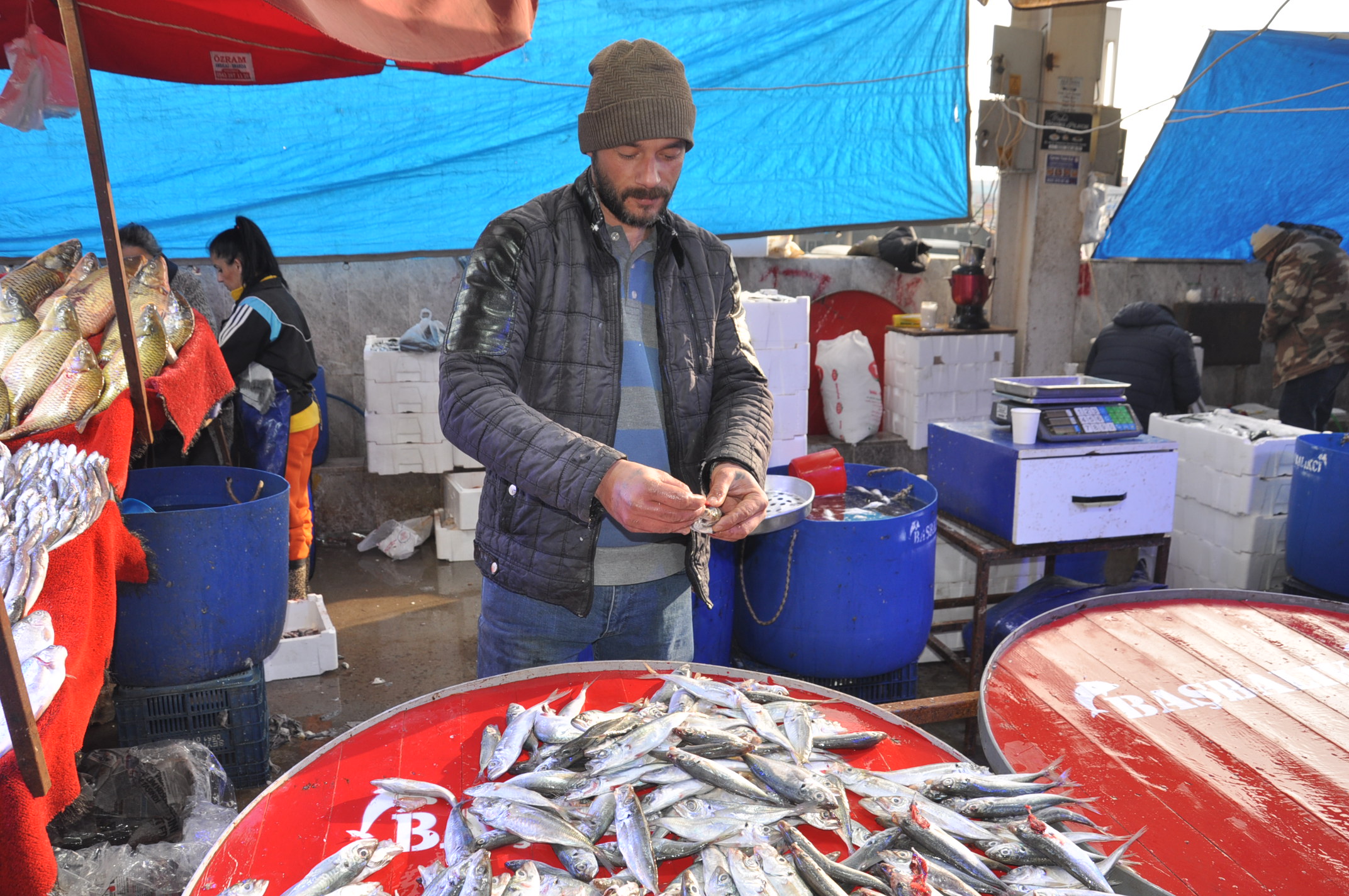 Pazar Balık Fiyatları Salihli (14)