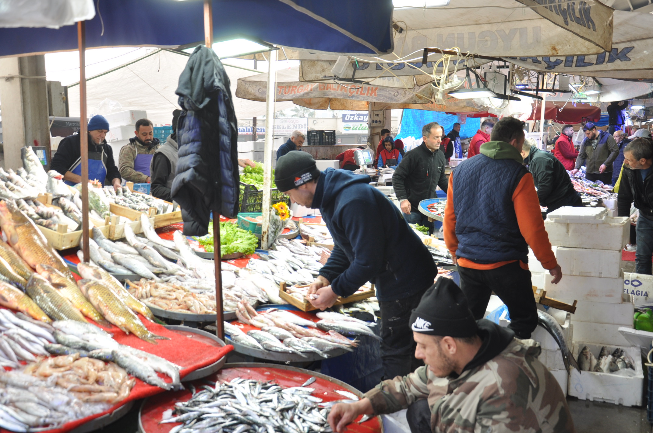 Pazar Balık Fiyatları Salihli (3)