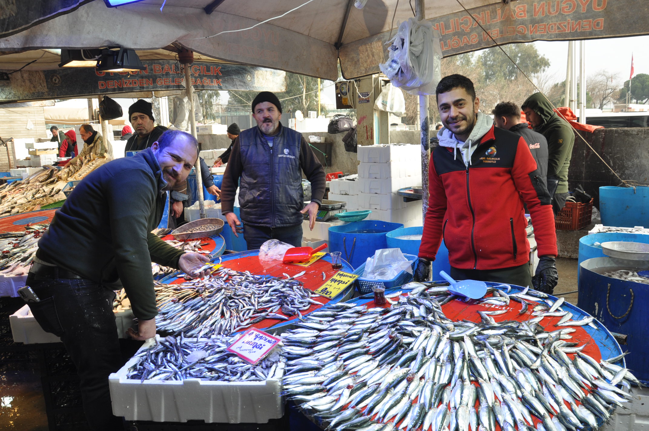 Pazar Balık Fiyatları Salihli (4)