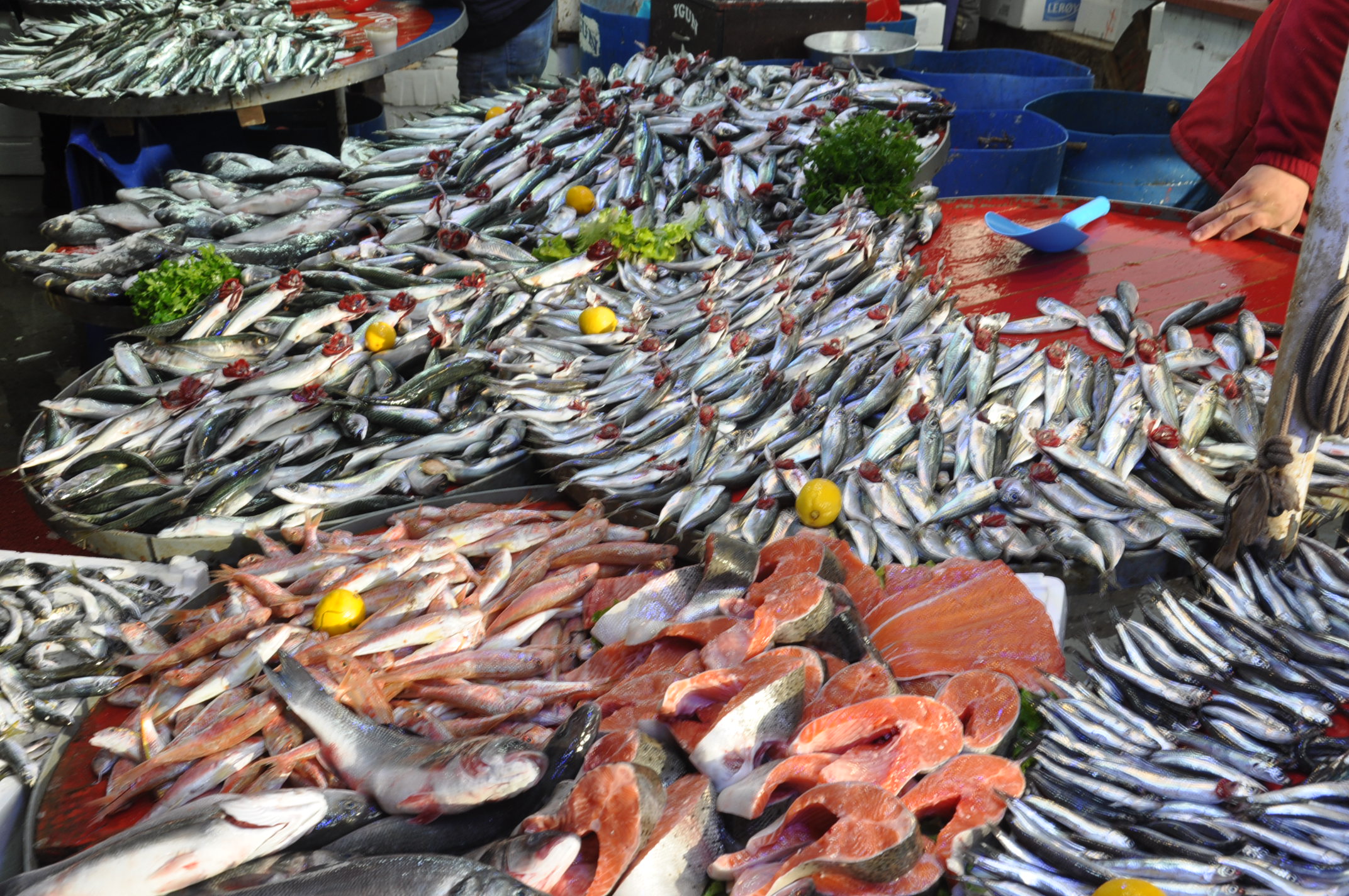 Pazar Balık Fiyatları Salihli (7)