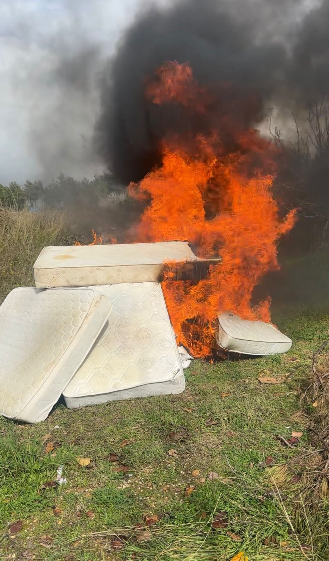 Personel Gitti, Ev Şoke Etti! Patron Sinir Geçirip Eşyaları Ateşe Verdi (2)