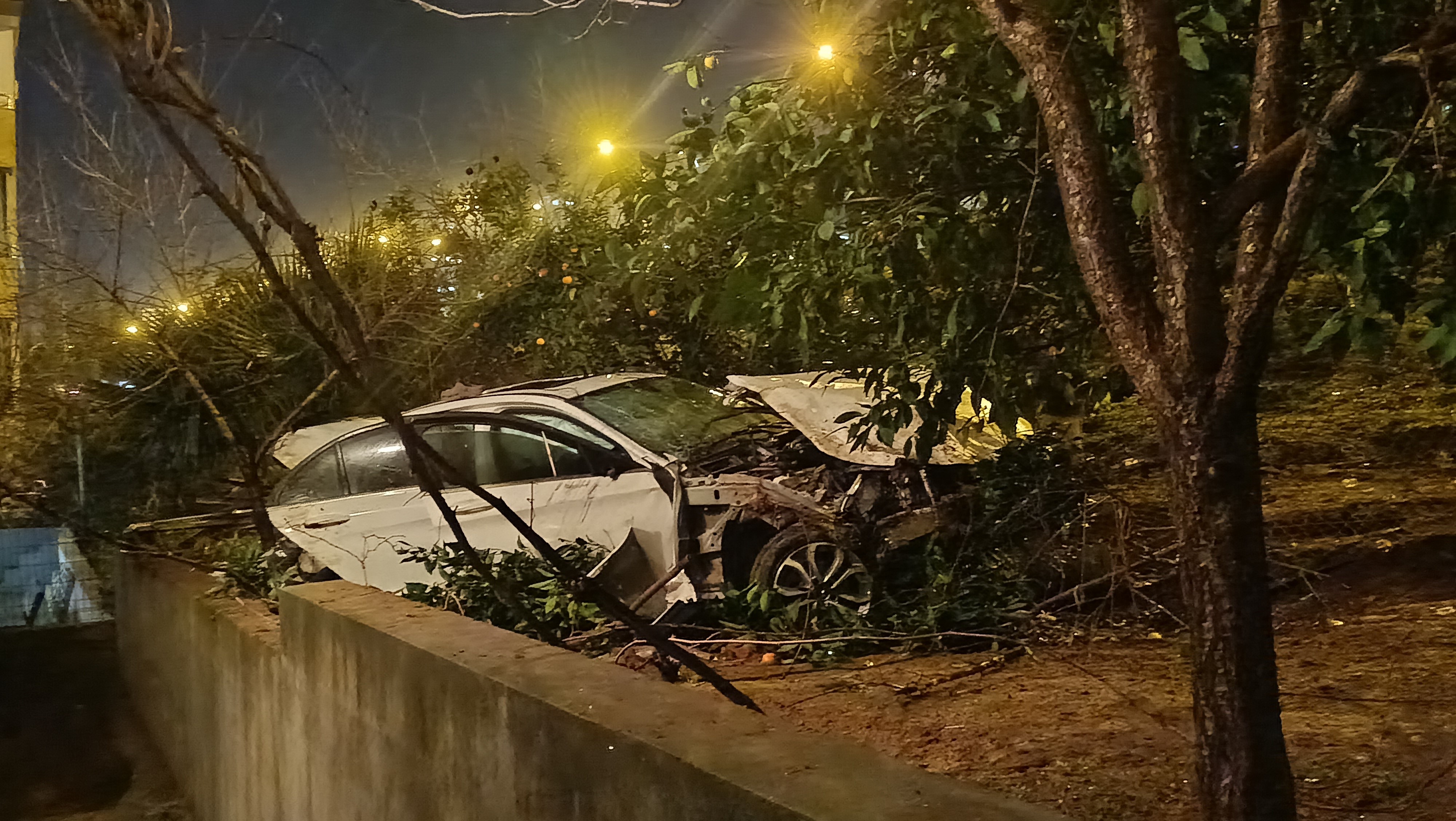 Refüje Çarptı, 65 Metre Şarampole Uçtu 23 Yaşındaki Sürücü Hayatını Kaybetti (9)