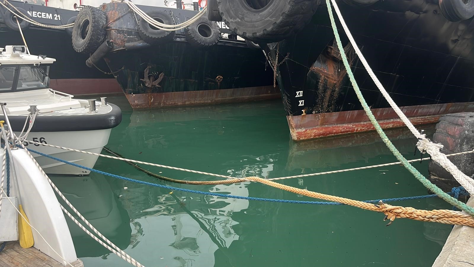 Sahilde Dehşet Balıkçı Barınağında 36 Yaşındaki Adam Ölü Bulundu (4)