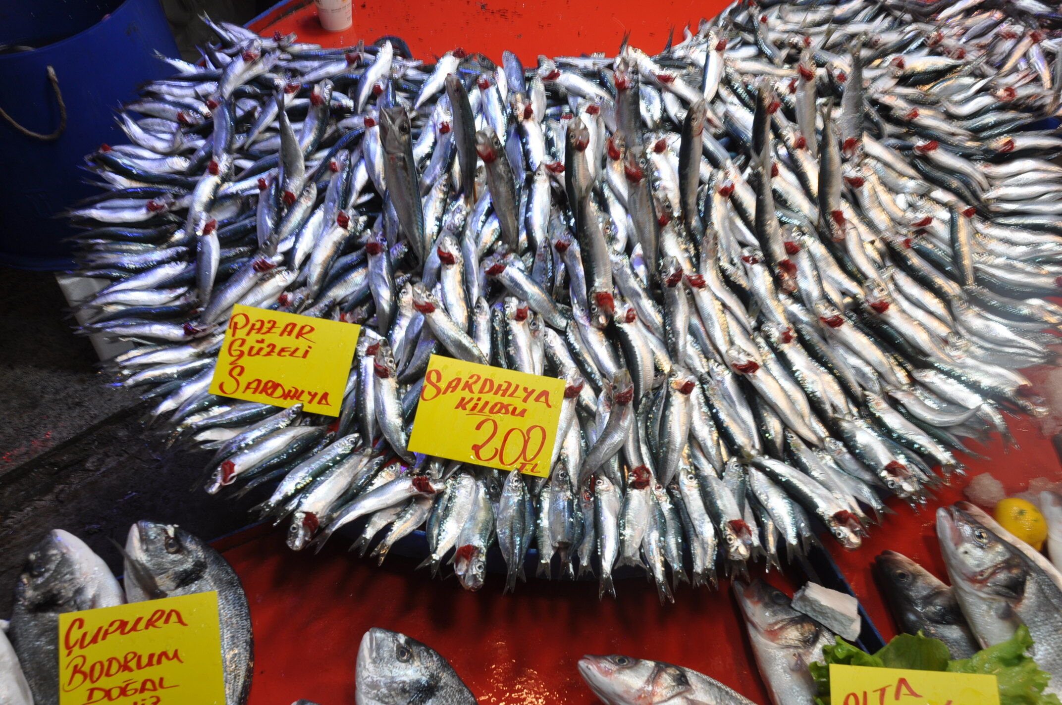 Salihli Balık Çarşamba Pazar (1)