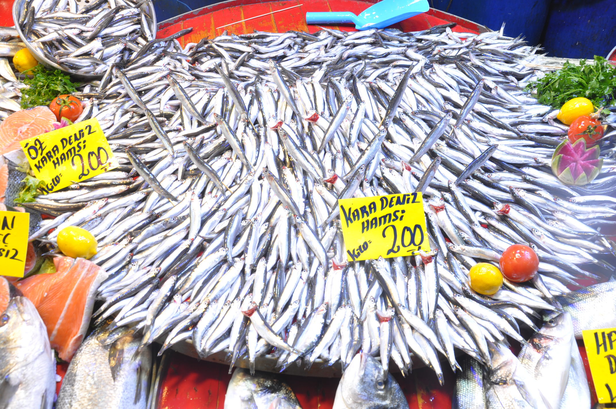 Salihli Balık Çarşamba Pazar (16)