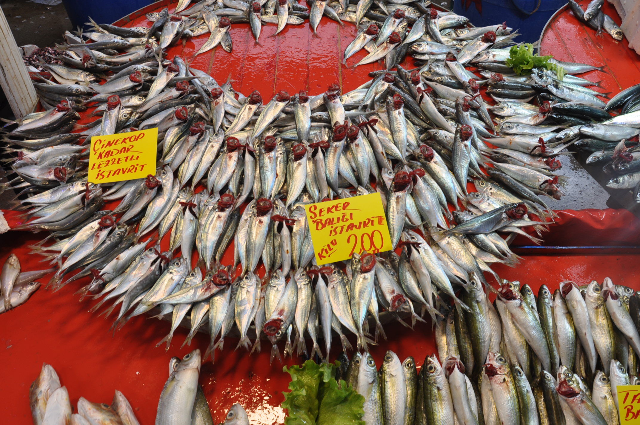 Salihli Balık Çarşamba Pazar (2)