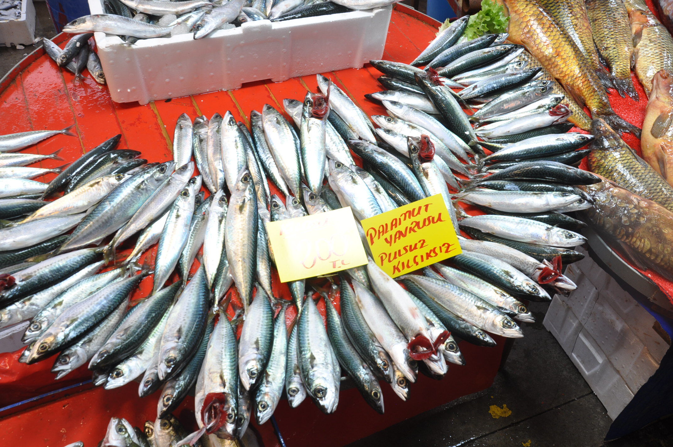 Salihli Balık Çarşamba Pazar (3)