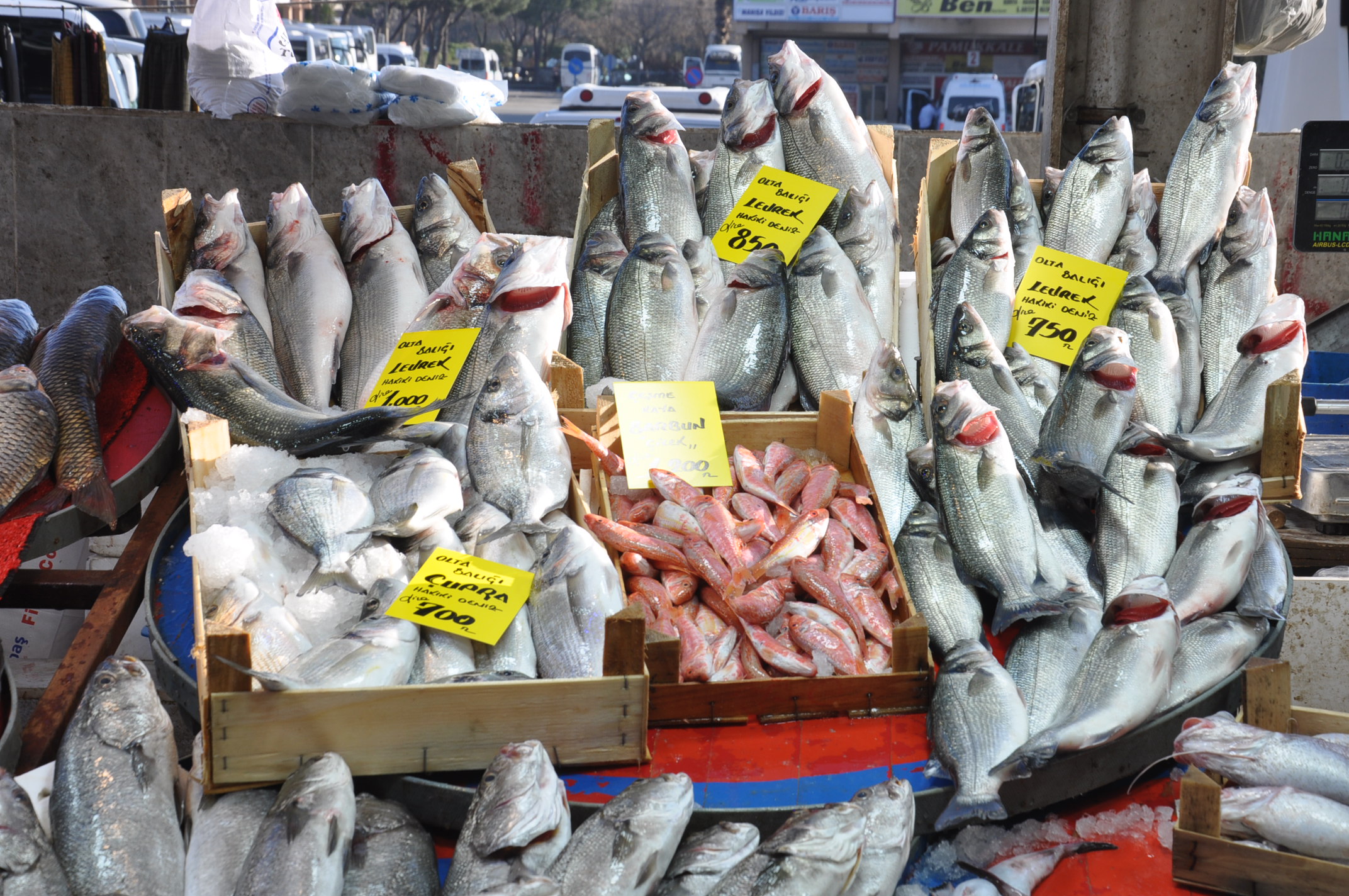 Salihli Çarşamba Pazarı (12)-3