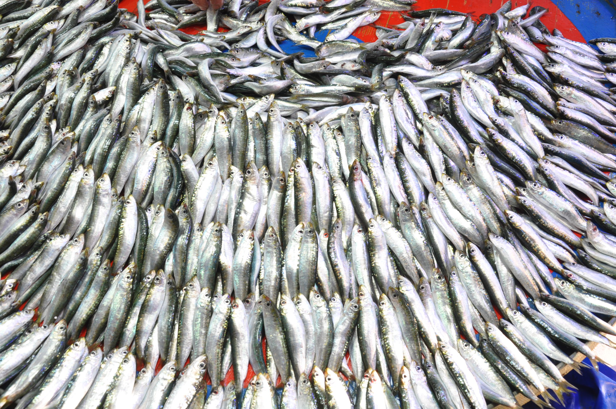 Salihli Çarşamba Pazarı (5)-3