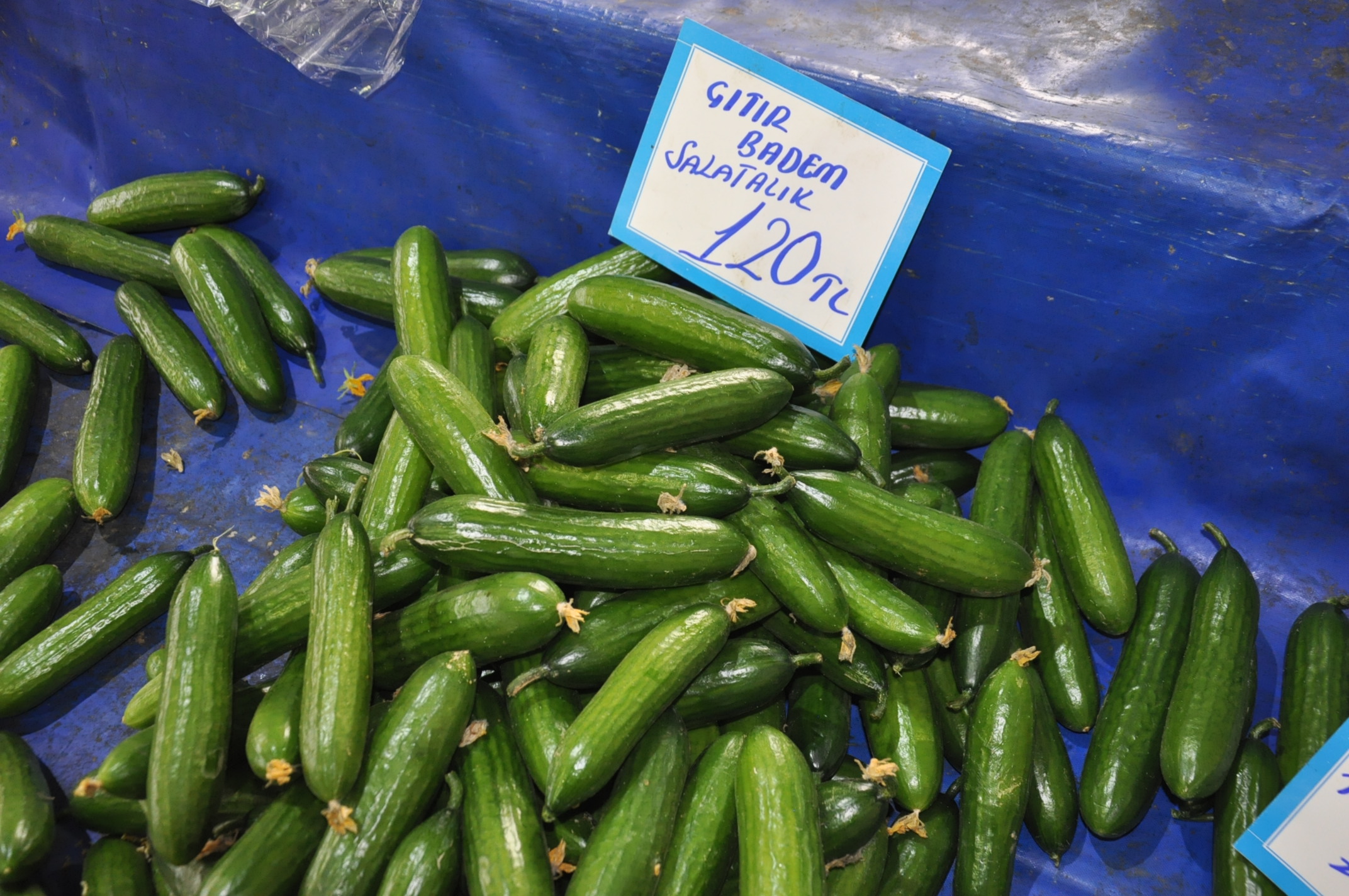 Salihli Sebze Meyve Fiyat (2)