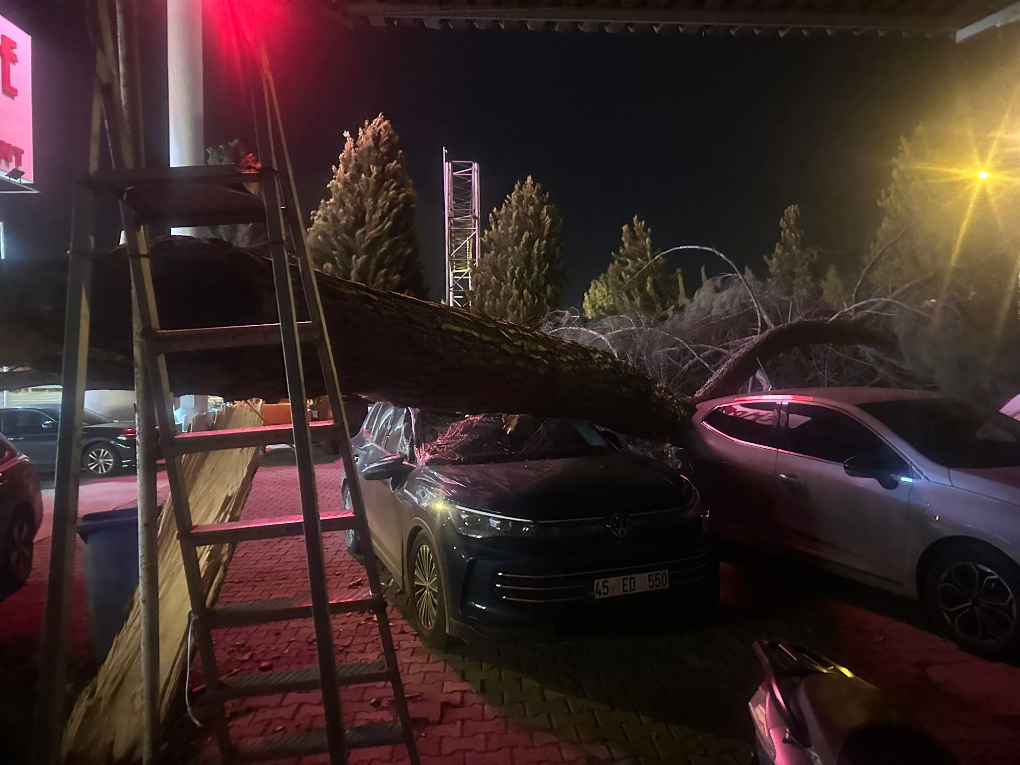 Salihli'de Bir Restoranın Bahçesine Ağaç Devrildi (1)-1