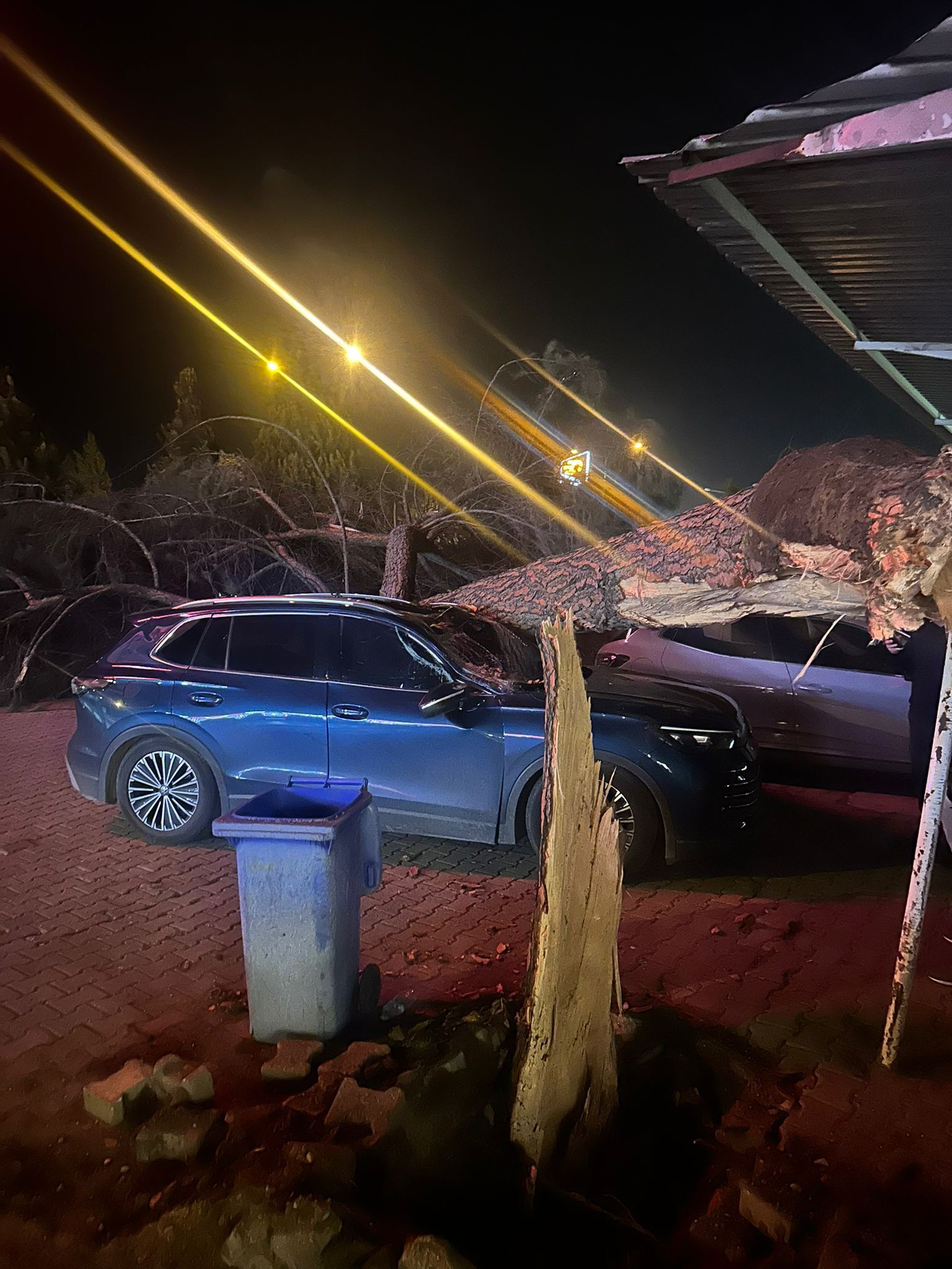 Salihli'de Bir Restoranın Bahçesine Ağaç Devrildi (2)