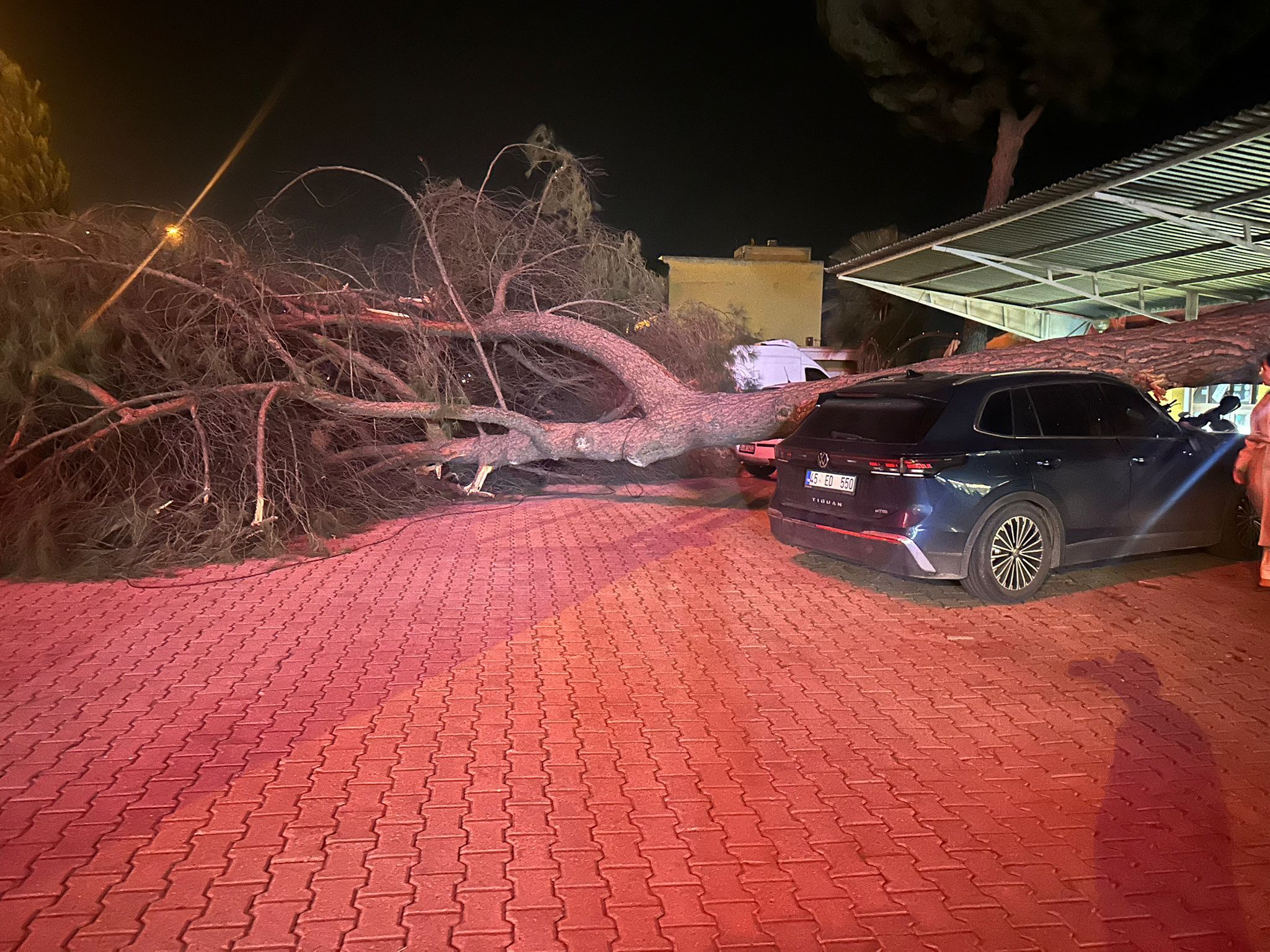 Salihli'de Bir Restoranın Bahçesine Ağaç Devrildi (3)