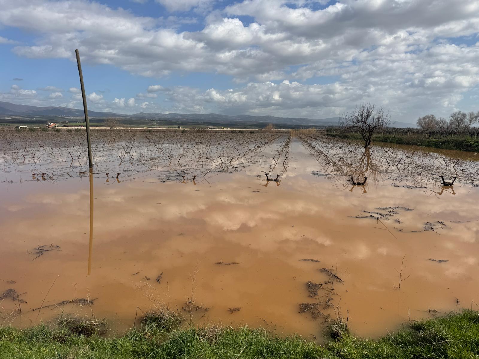 Salihli’de Sel Alarmı ! Yeşilova’da Vatandaşlar Traktörlerle Kurtarıldı (1)-2