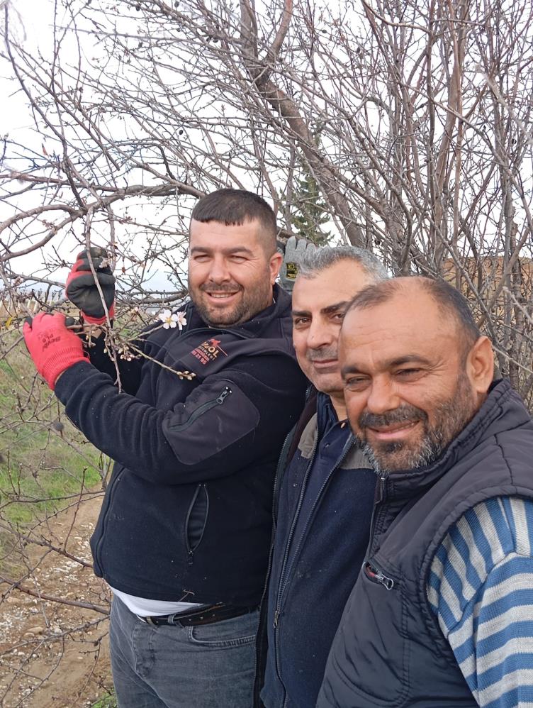 Sarıgöl Badem Ağaçları (4)