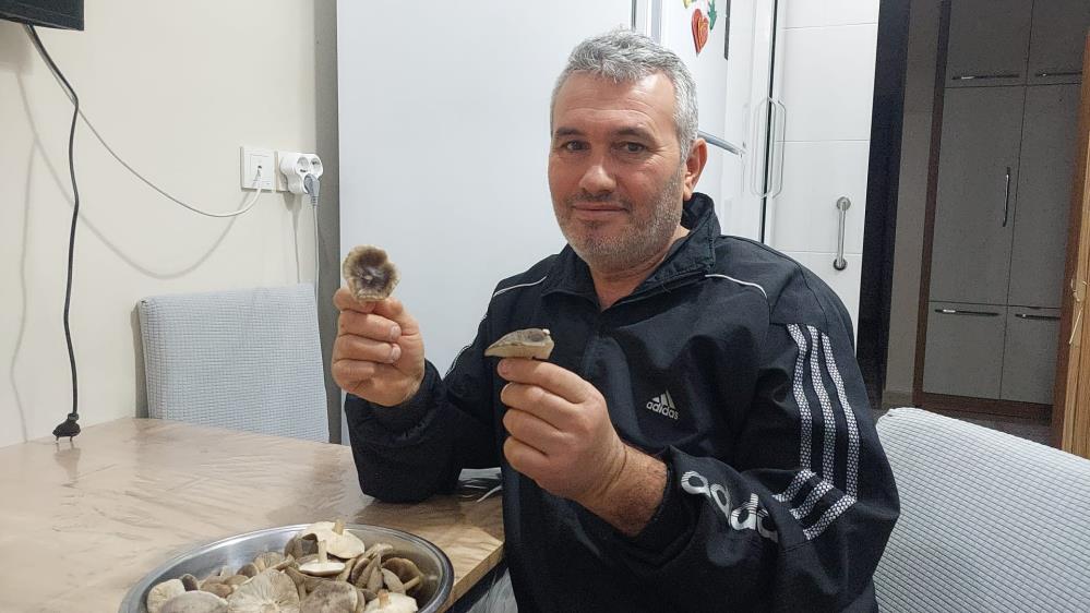 Sarııgöl Zirai Don Tehlike (2)