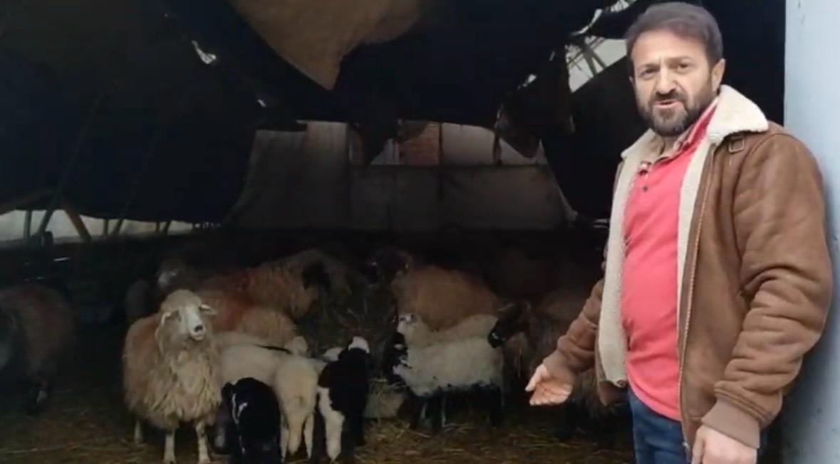 Sasirtan Goruntuler Dakikalarca Ayni Hareketi Yaptilar (3)