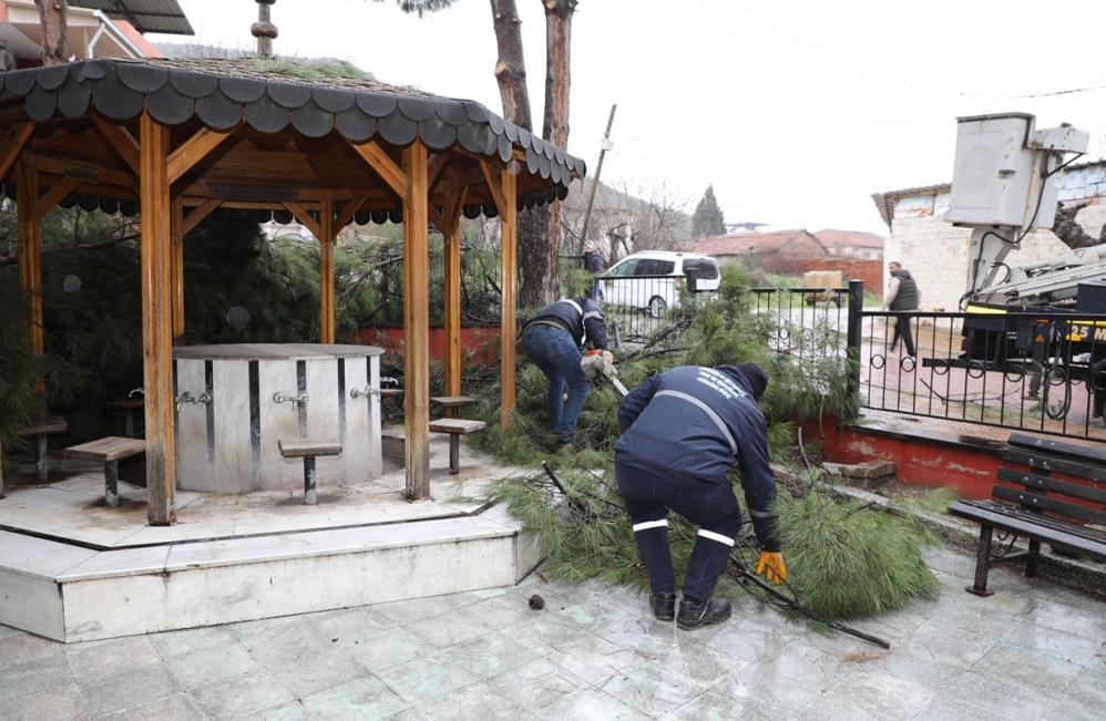 Şehzdeler Dayanışma (3)