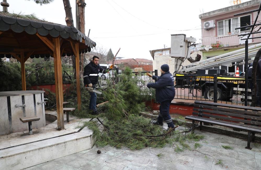 Şehzdeler Dayanışma (4)