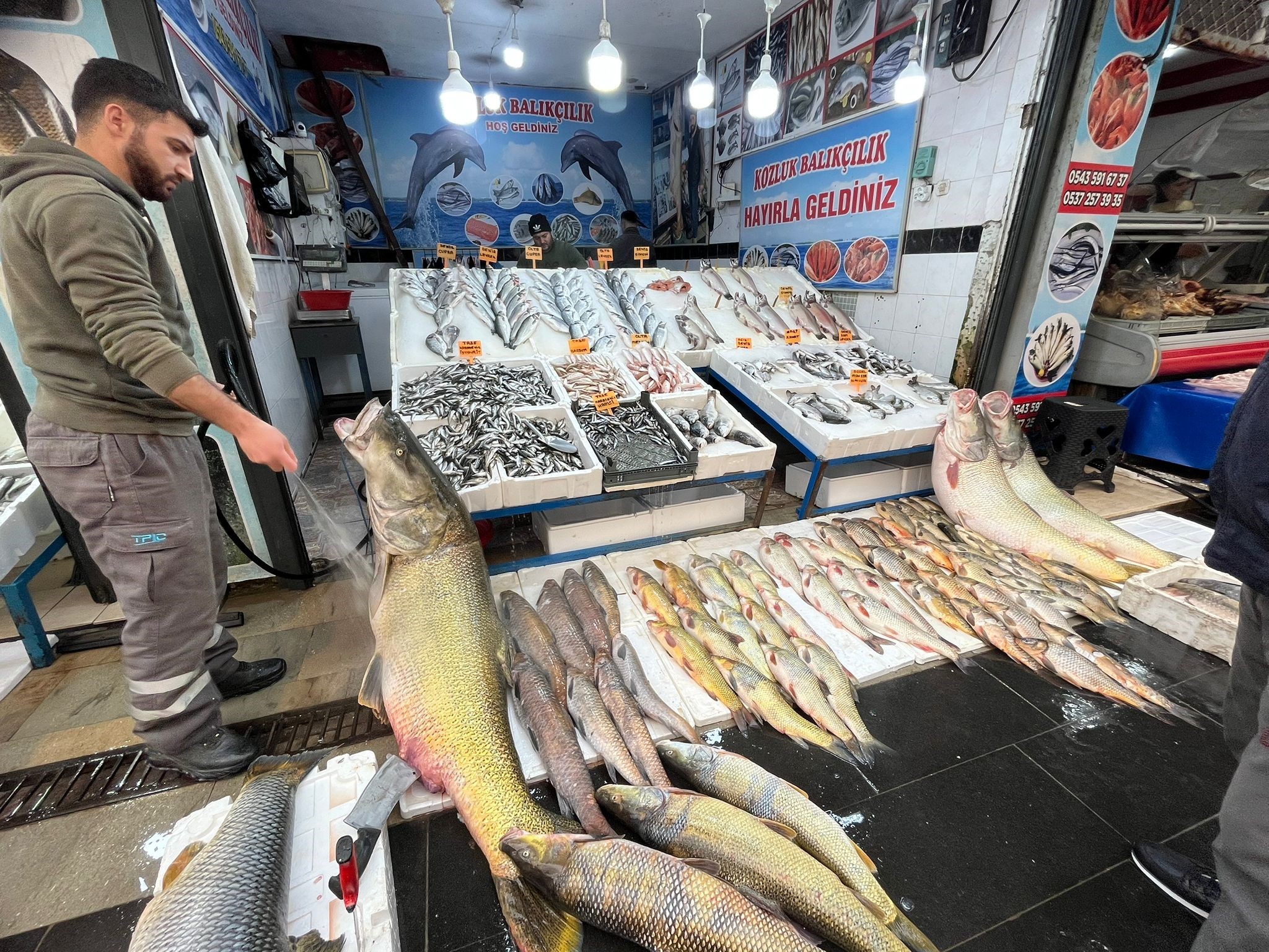 Sezonun Rekoru Kirildi 2 Metrelik Dev Ilgi Odagi Oldu (5)